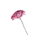 Set da 6, Rosa Oro Alstroemeria, Flora - Altro