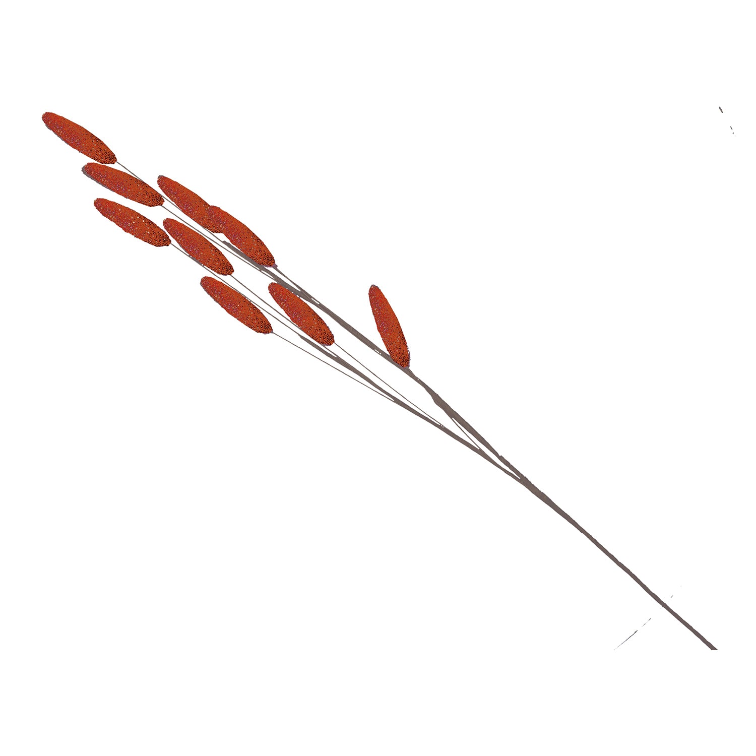 Set da 6, Rosso Glitter Phalaris, Flora - Altro
