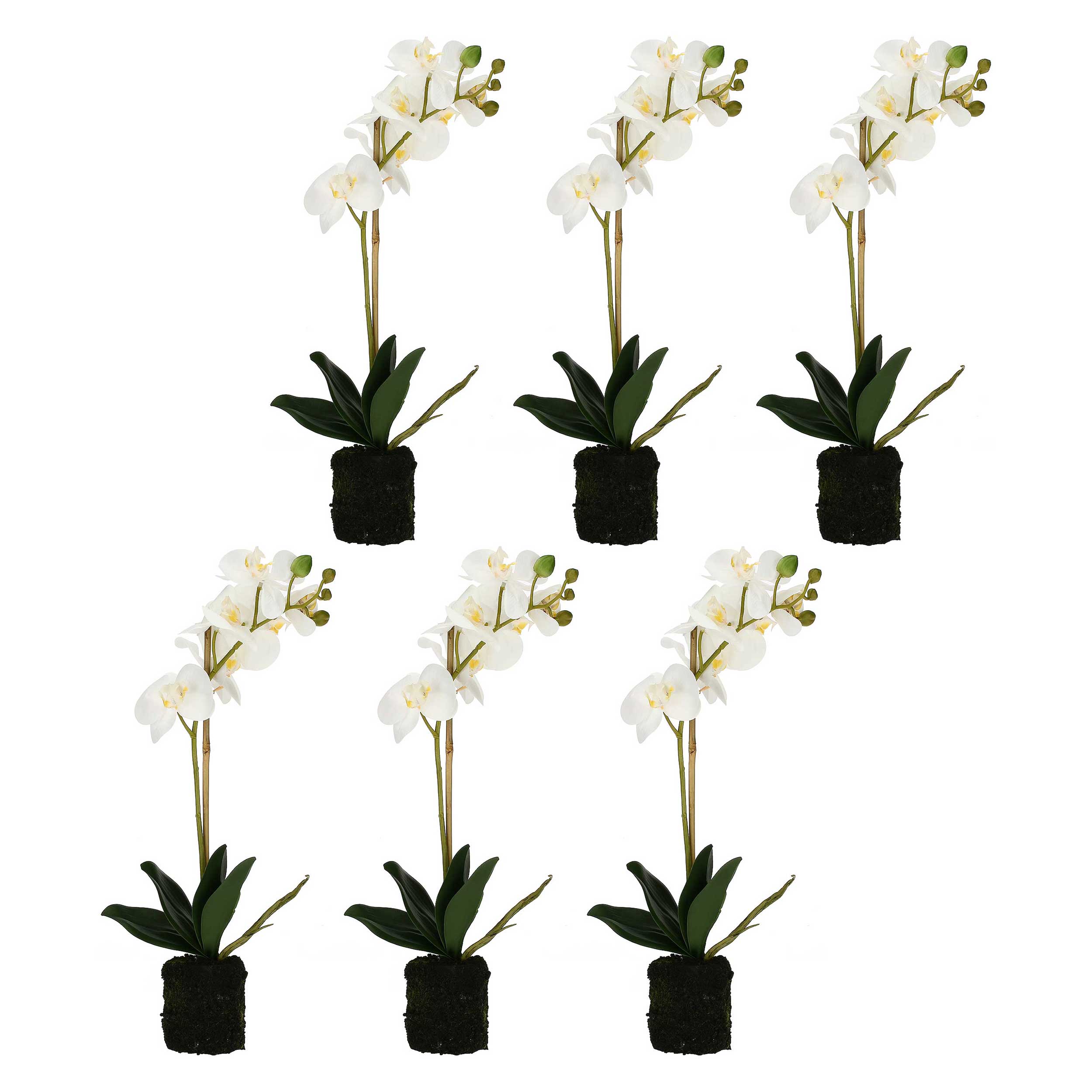 Set da 6, zolla Con Orchidee Bianche S, Veronica - Tessuto E Plastica, 40 cm, zolla Ø 6