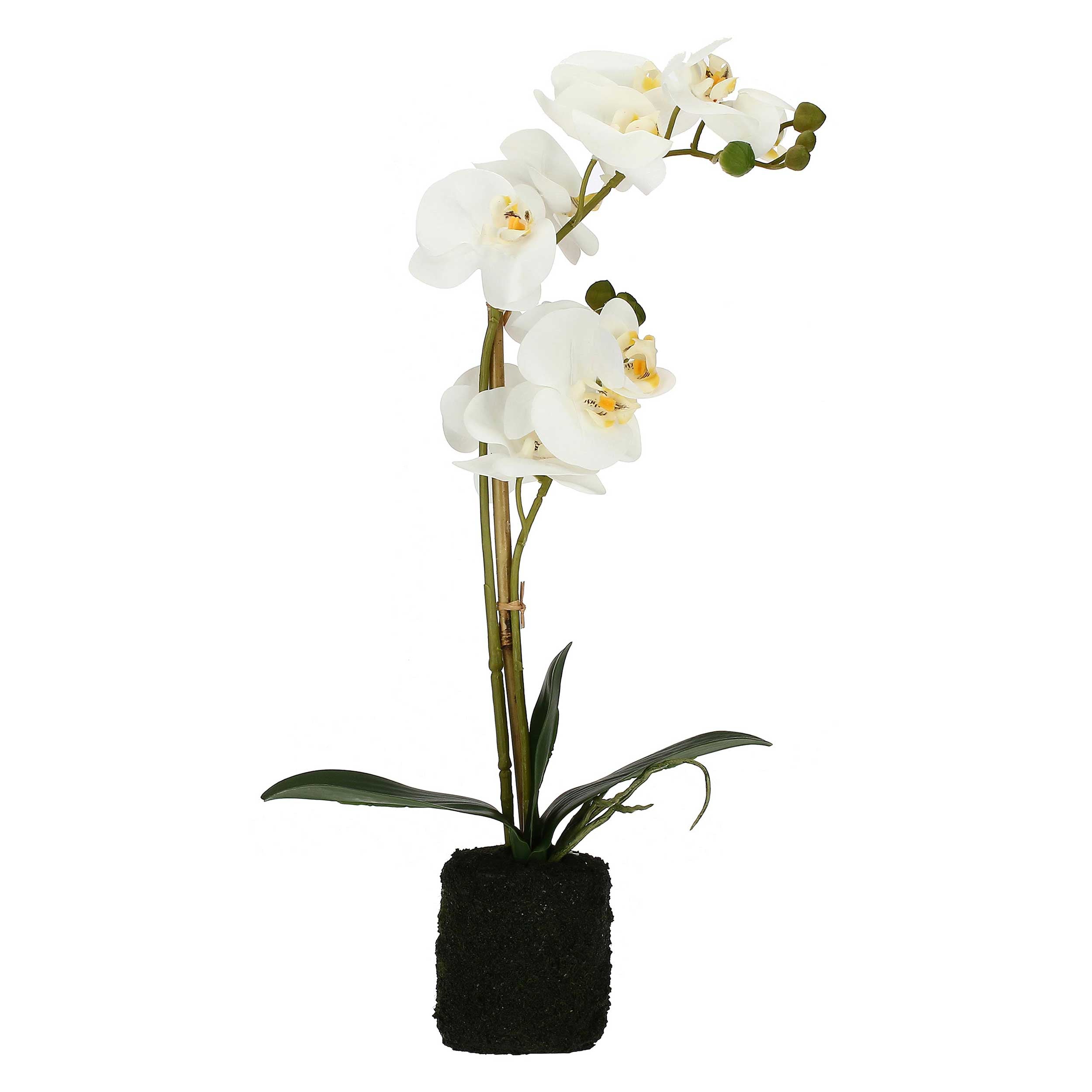 Set da 6, zolla Con Orchidee Bianche M, Veronica - Tessuto E Plastica, 49 cm, zolla Ø 8