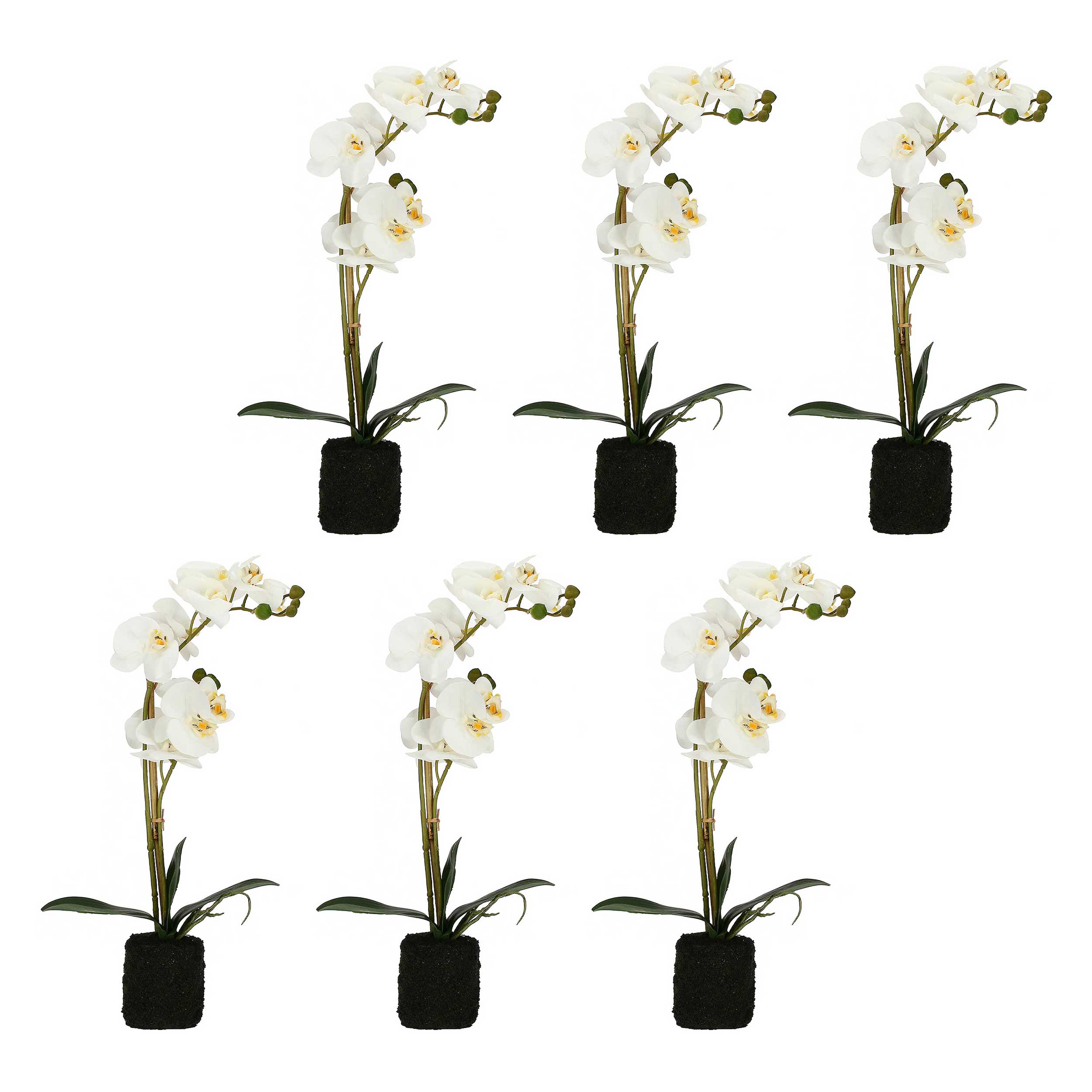 Set da 6, zolla Con Orchidee Bianche M, Veronica - Tessuto E Plastica, 49 cm, zolla Ø 8