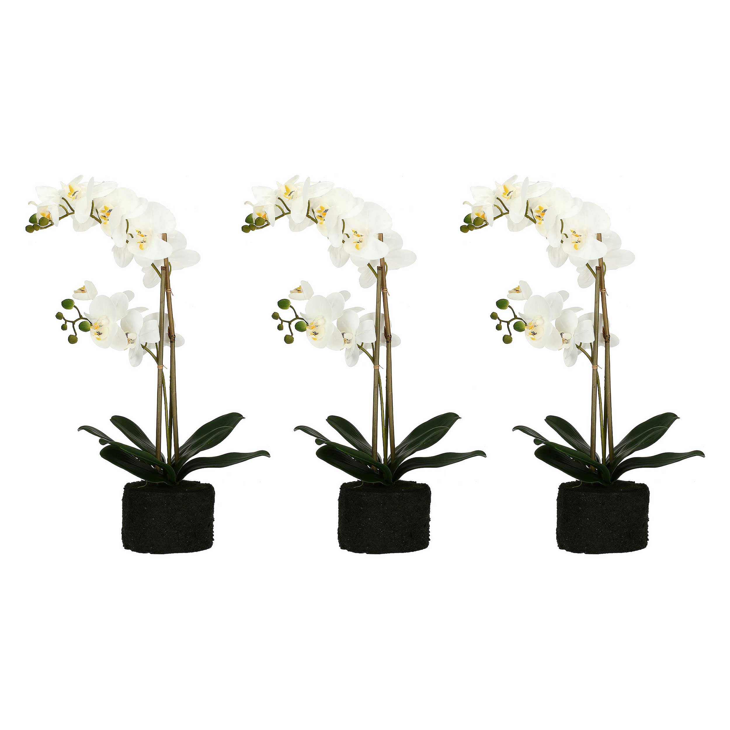 Set da 3, zolla Con Orchidee Bianche L, Veronica - Tessuto E Plastica, 57 cm, zolla Ø 14