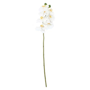 Set da 12, Orchidea Bianca S, Veronica - Tessuto E Plastica, 58 cm