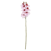 Set da 12, Orchidea Maculata S, Veronica - Tessuto E Plastica, 58 cm