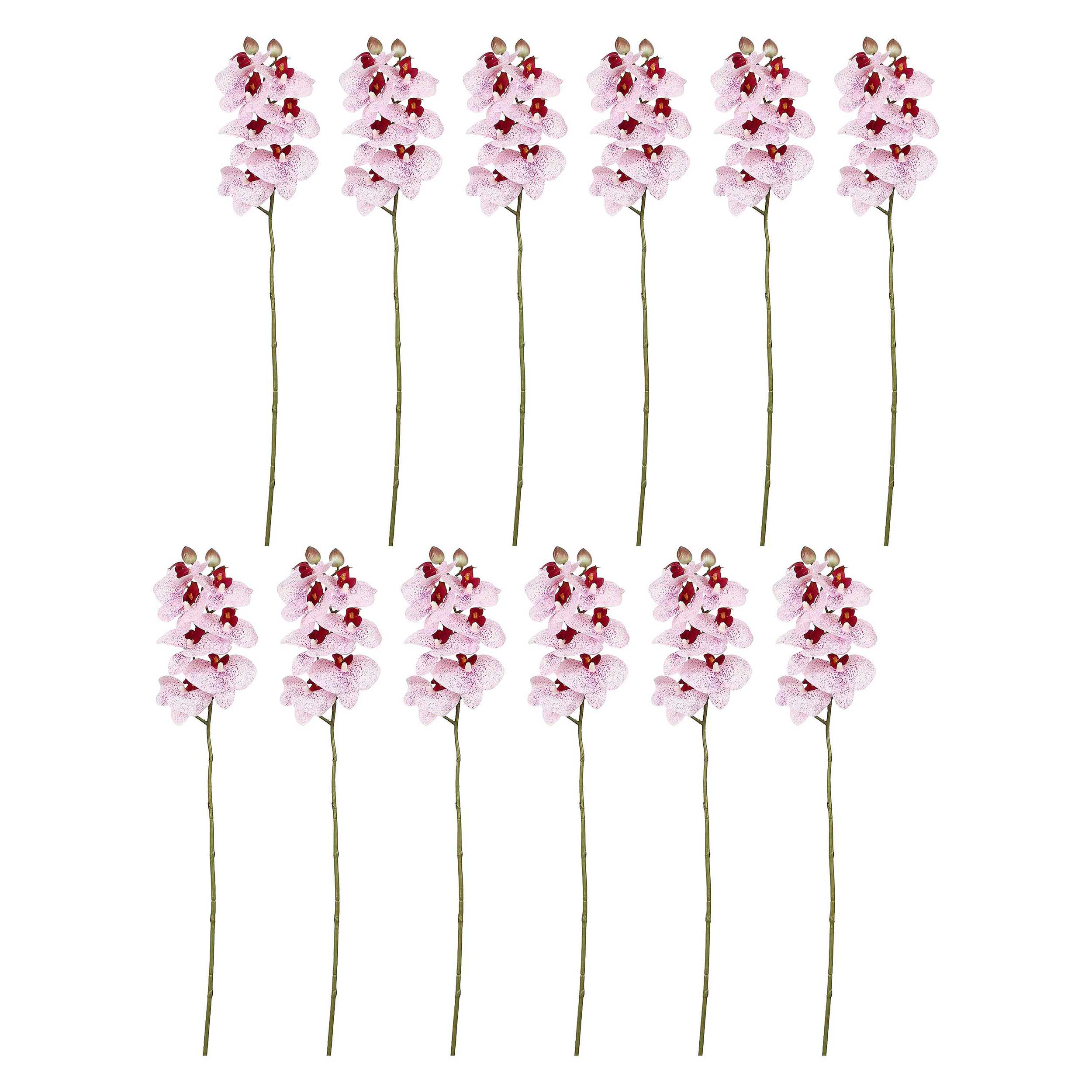 Set da 12, Orchidea Maculata S, Veronica - Tessuto E Plastica, 58 cm