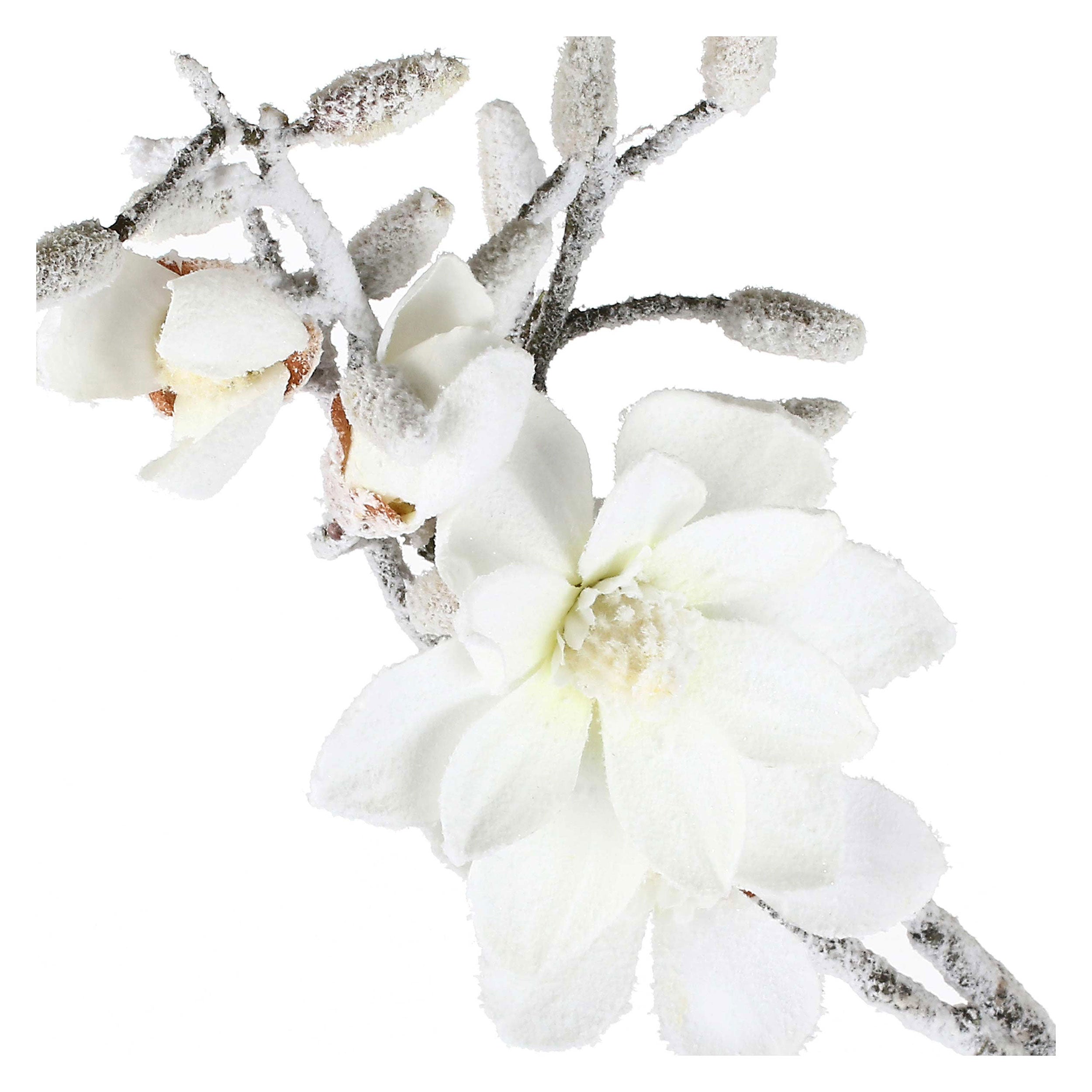 Set da 12, Magnolia L, Ghiacciata - Tessuto E Plastica, 57 cm, zolla Ø 14
