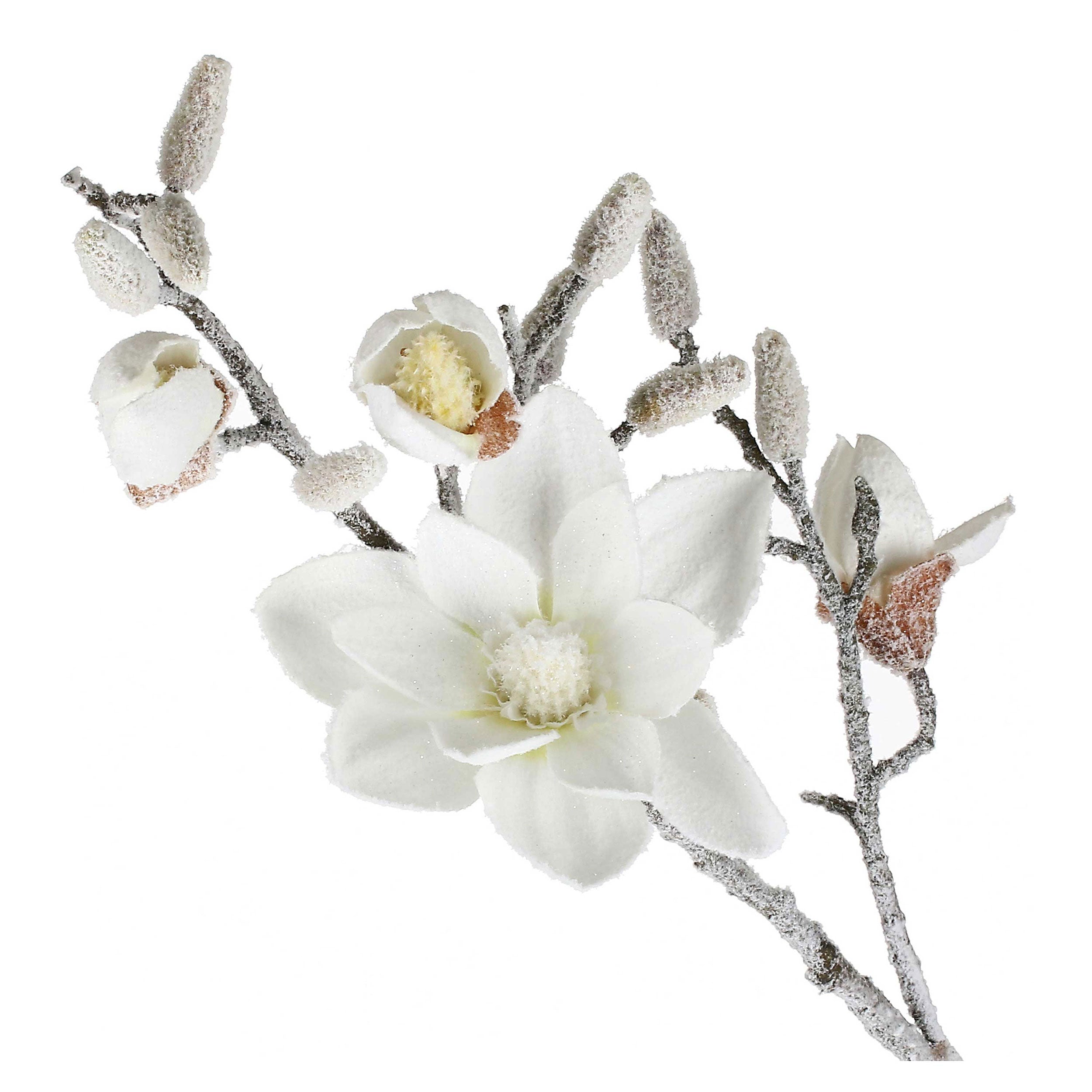 Set da 12, Magnolia M, Ghiacciata - Tessuto E Plastica, 57 cm, zolla Ø 14