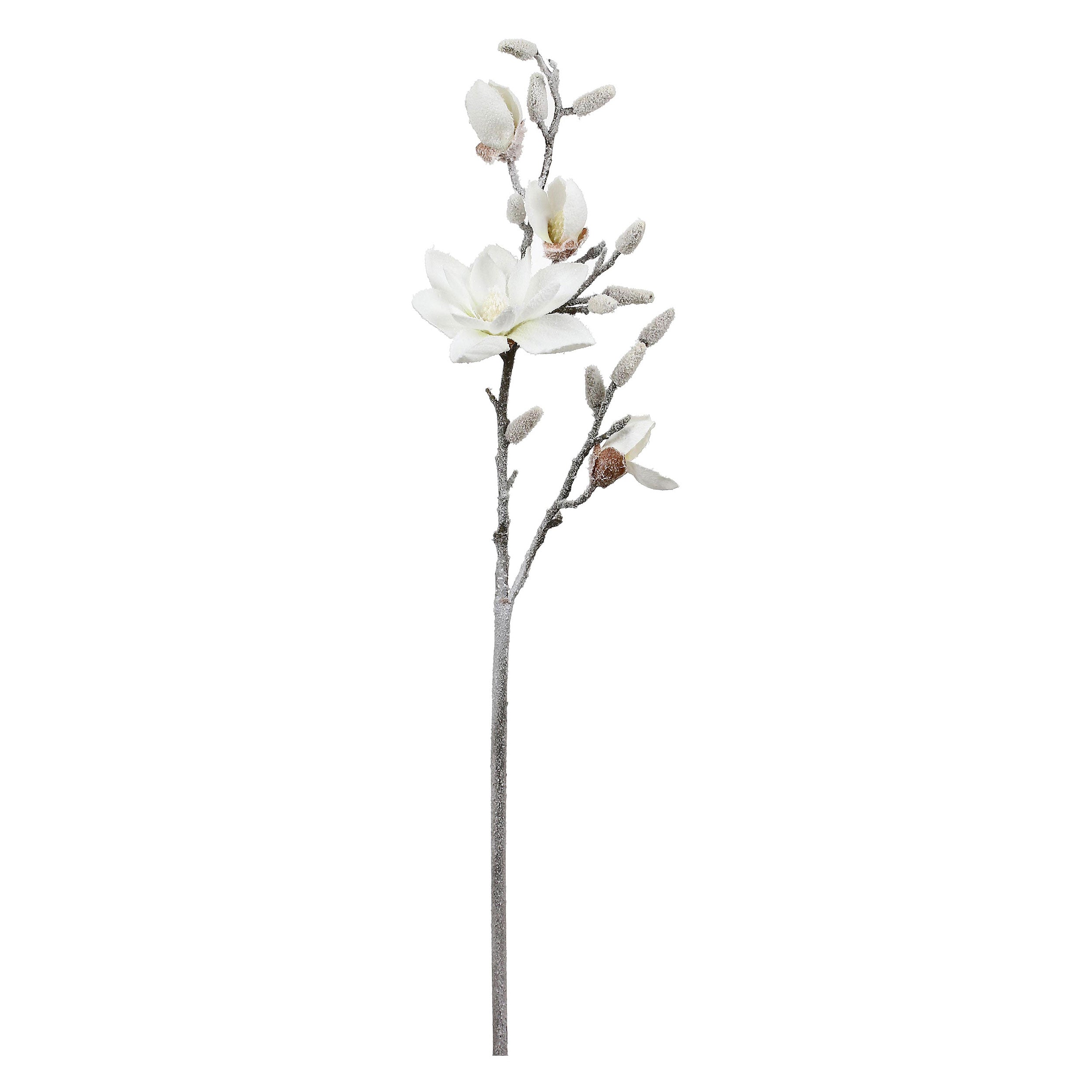 Set da 12, Magnolia M, Ghiacciata - Tessuto E Plastica, 57 cm, zolla Ø 14