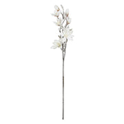 Set da 6, Magnolia xL, Ghiacciata - Tessuto E Plastica, 57 cm, zolla Ø 14