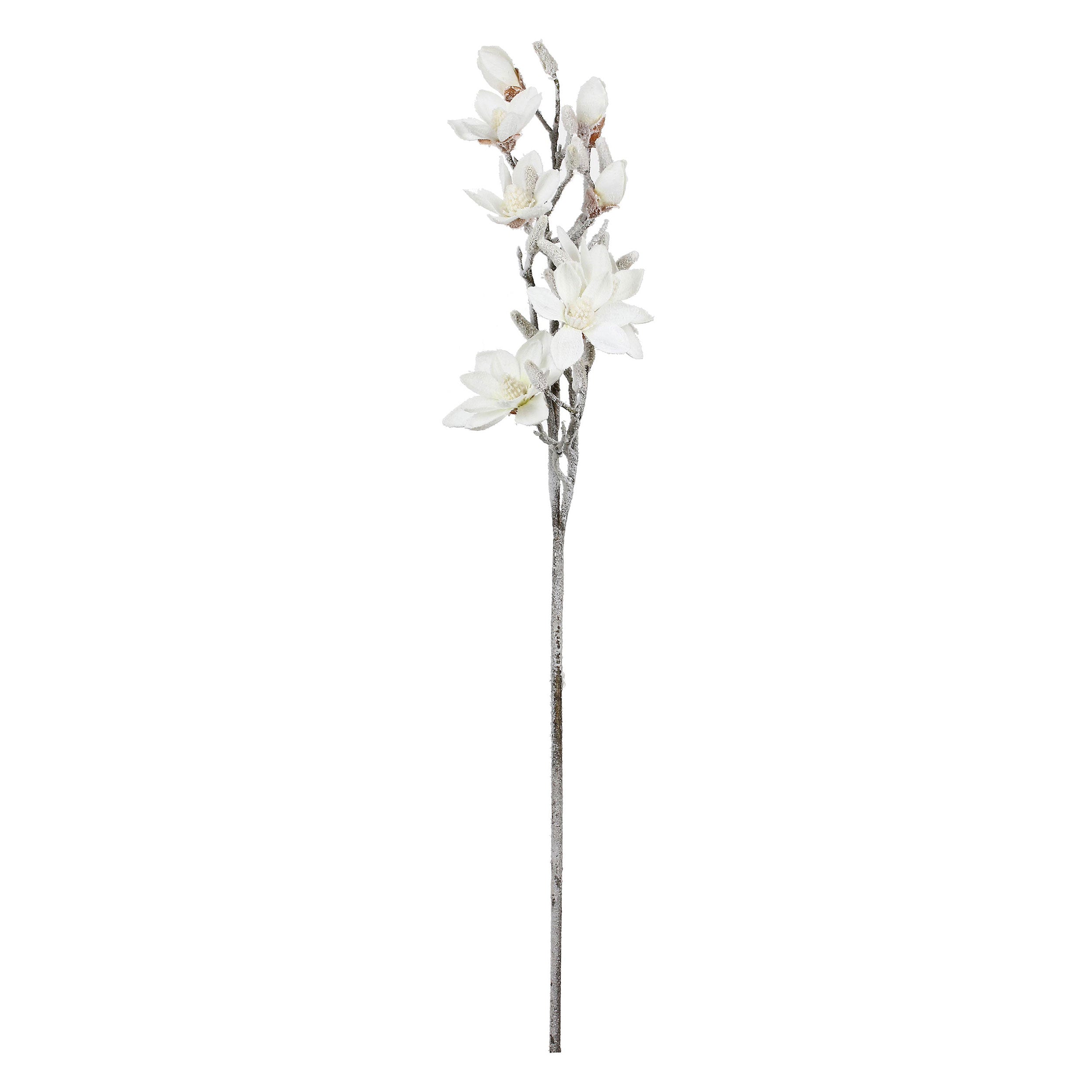 Set da 6, Magnolia xL, Ghiacciata - Tessuto E Plastica, 57 cm, zolla Ø 14