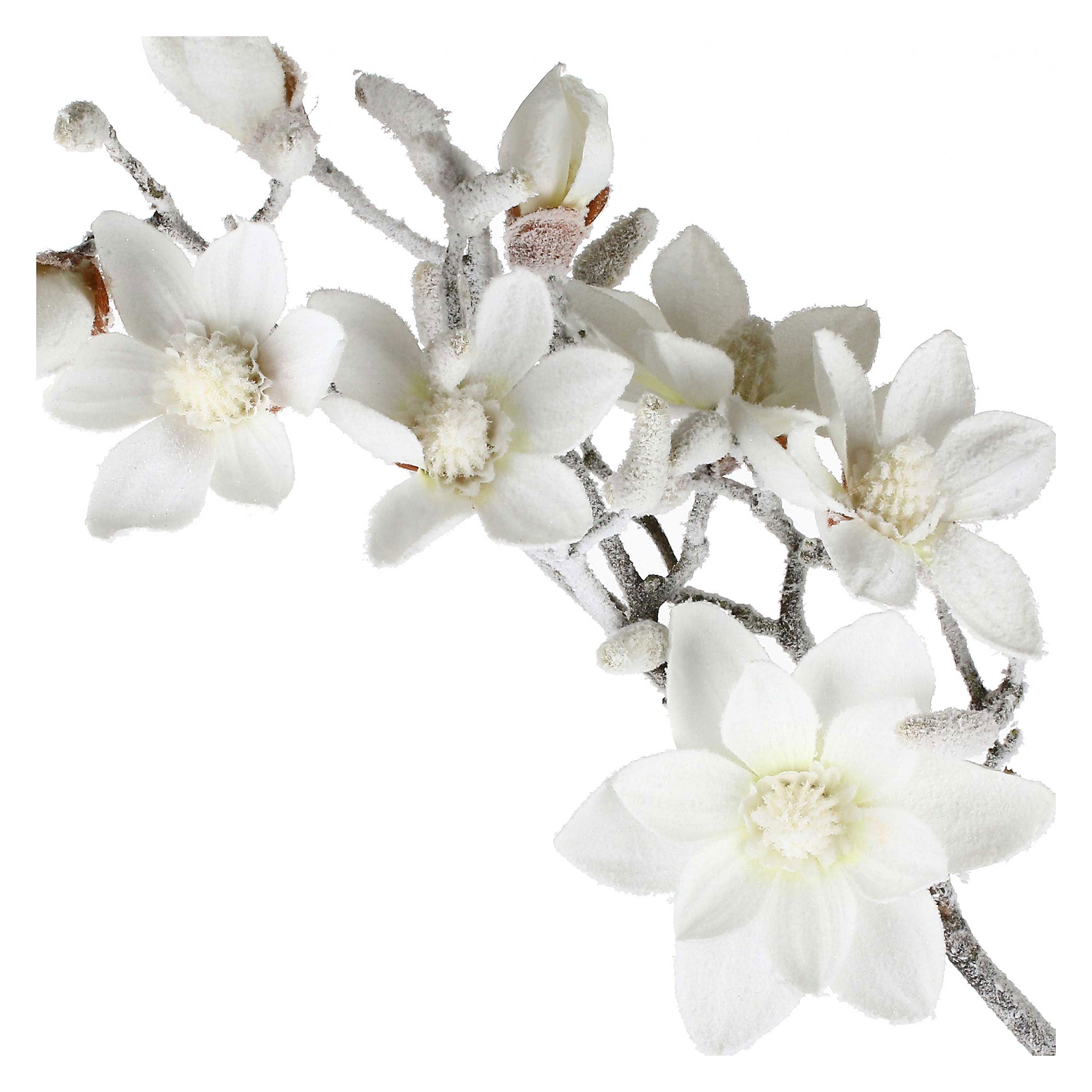 Set da 6, Magnolia xL, Ghiacciata - Tessuto E Plastica, 57 cm, zolla Ø 14