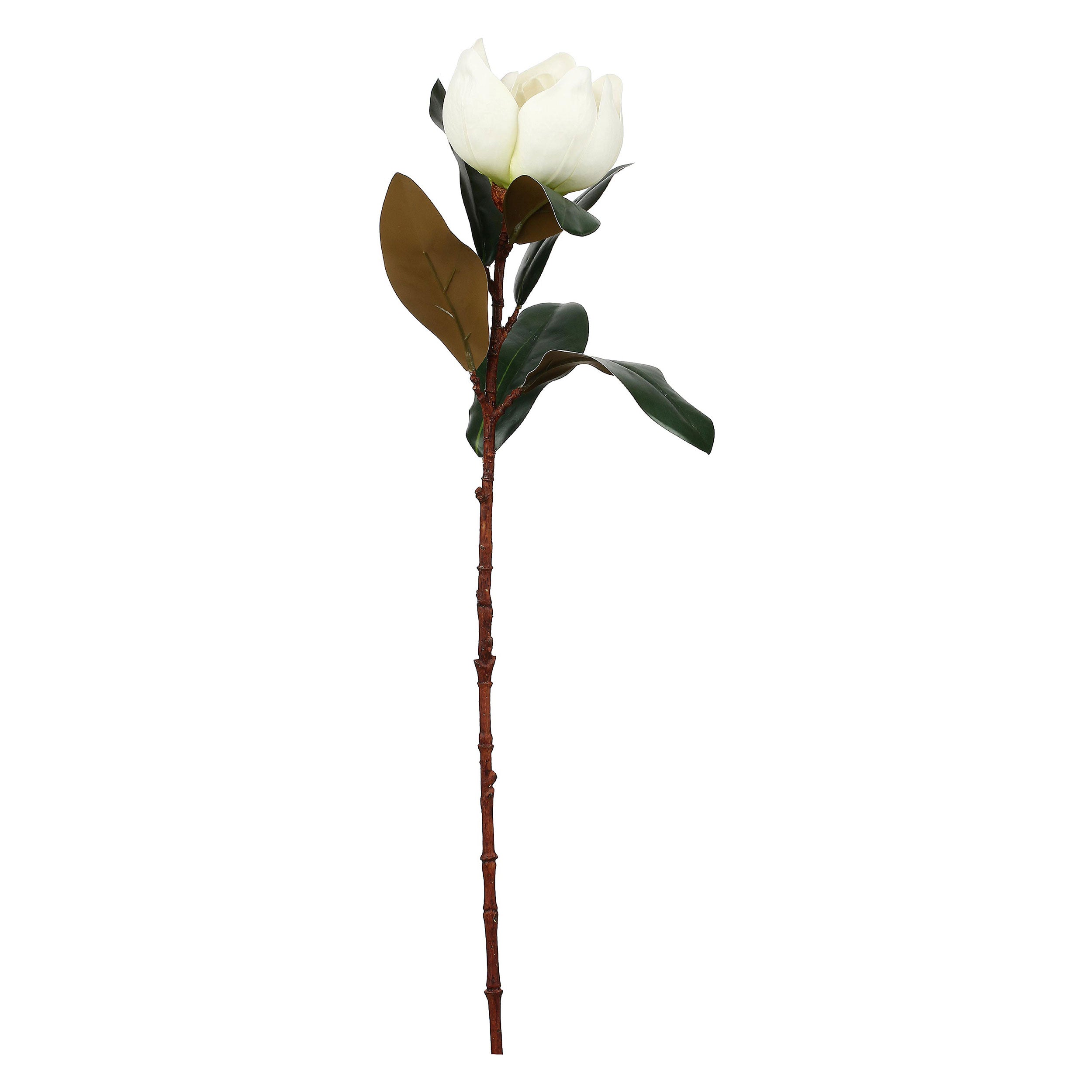 Set da 6, Magnolia Fiore, Maggie - Tessuto E Plastica, 57 cm, zolla Ø 14