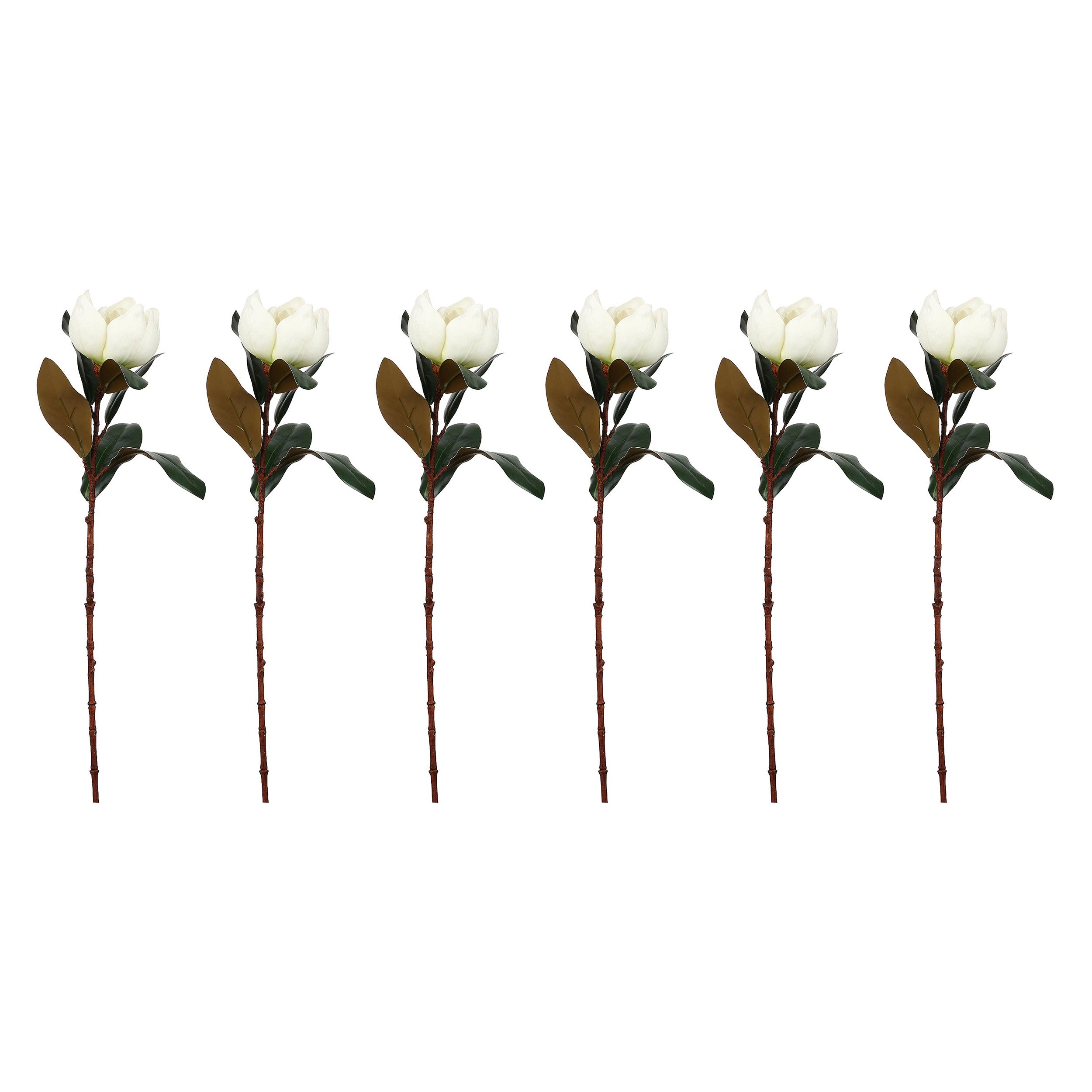 Set da 6, Magnolia Fiore, Maggie - Tessuto E Plastica, 57 cm, zolla Ø 14