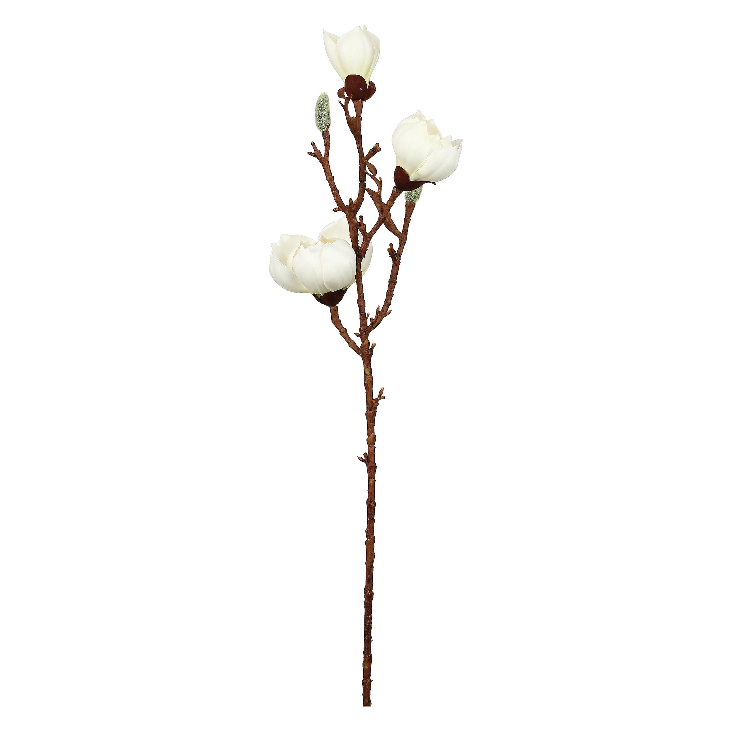 Set da 6, Magnolia Fiori, Maggie - Tessuto E Plastica, 57 cm, zolla Ø 14