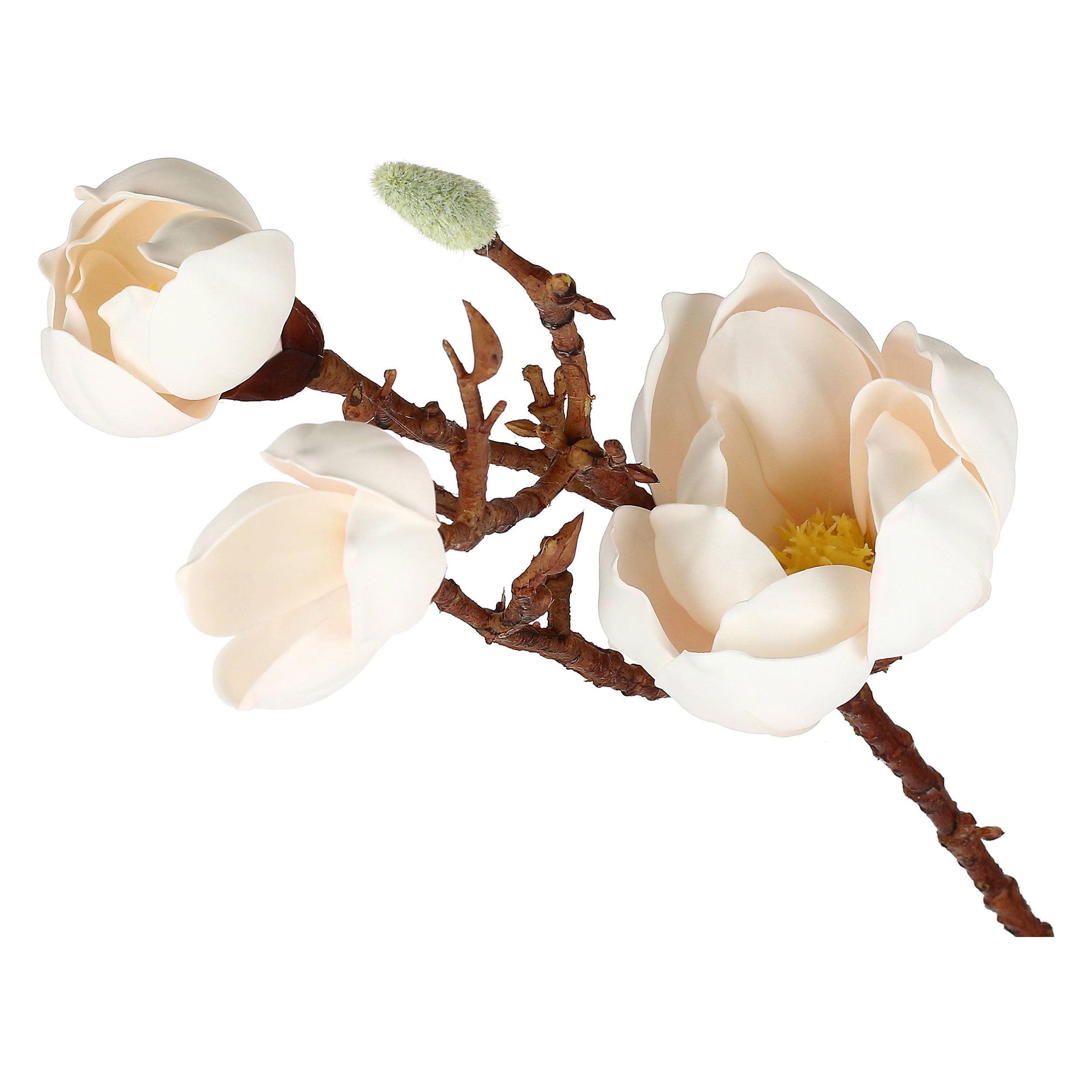 Set da 6, Magnolia Fiori, Maggie - Tessuto E Plastica, 57 cm, zolla Ø 14