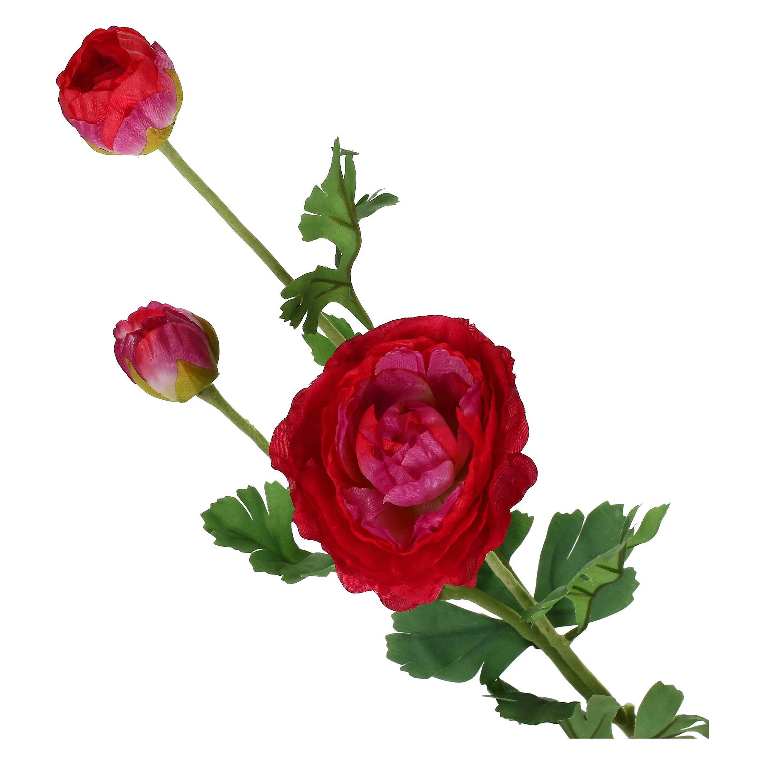 Set da 12, Ranuncolo Fucsia, Fiorile - Tessuto E Plastica, 91x11 cm