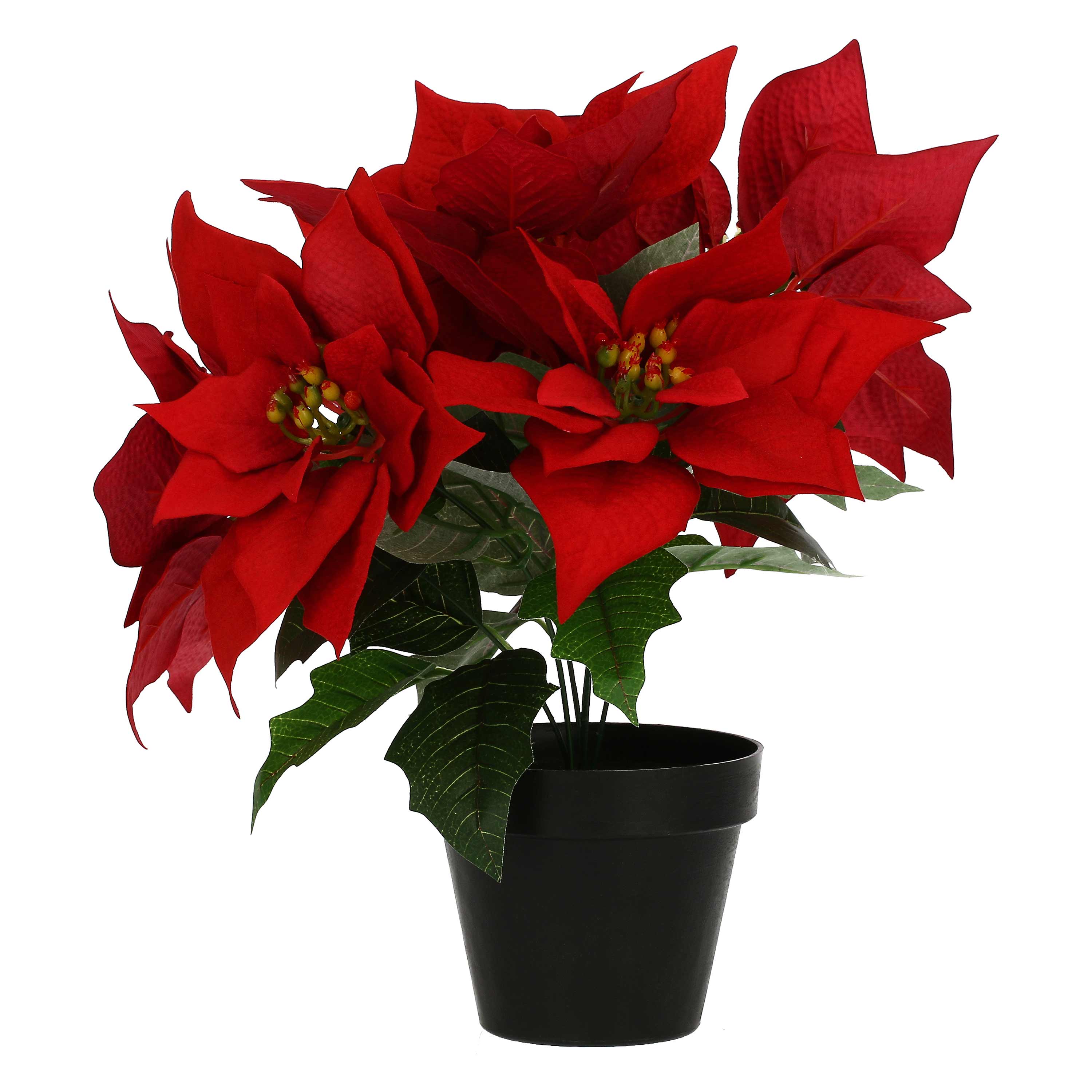 Set da 4, Stella Di Natale In Vaso, Unduetrestella - Tessuto E Plastica, 30 cm
