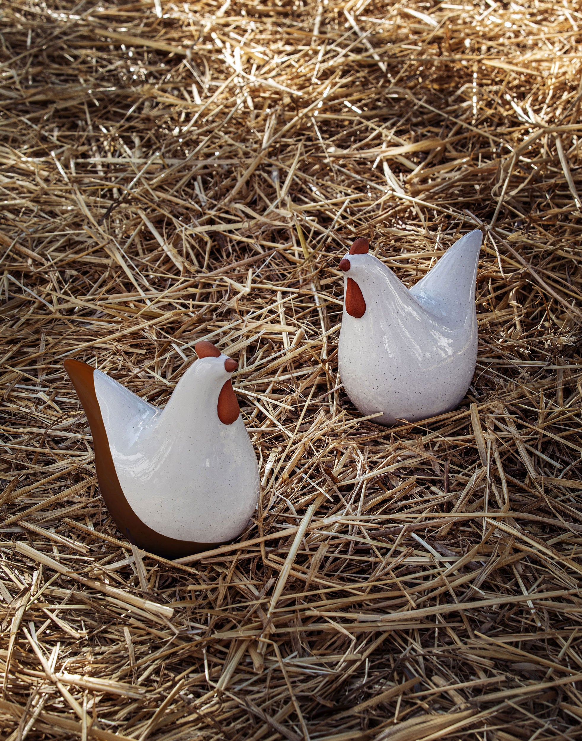 Gallina Bianca, Nonsonocotta