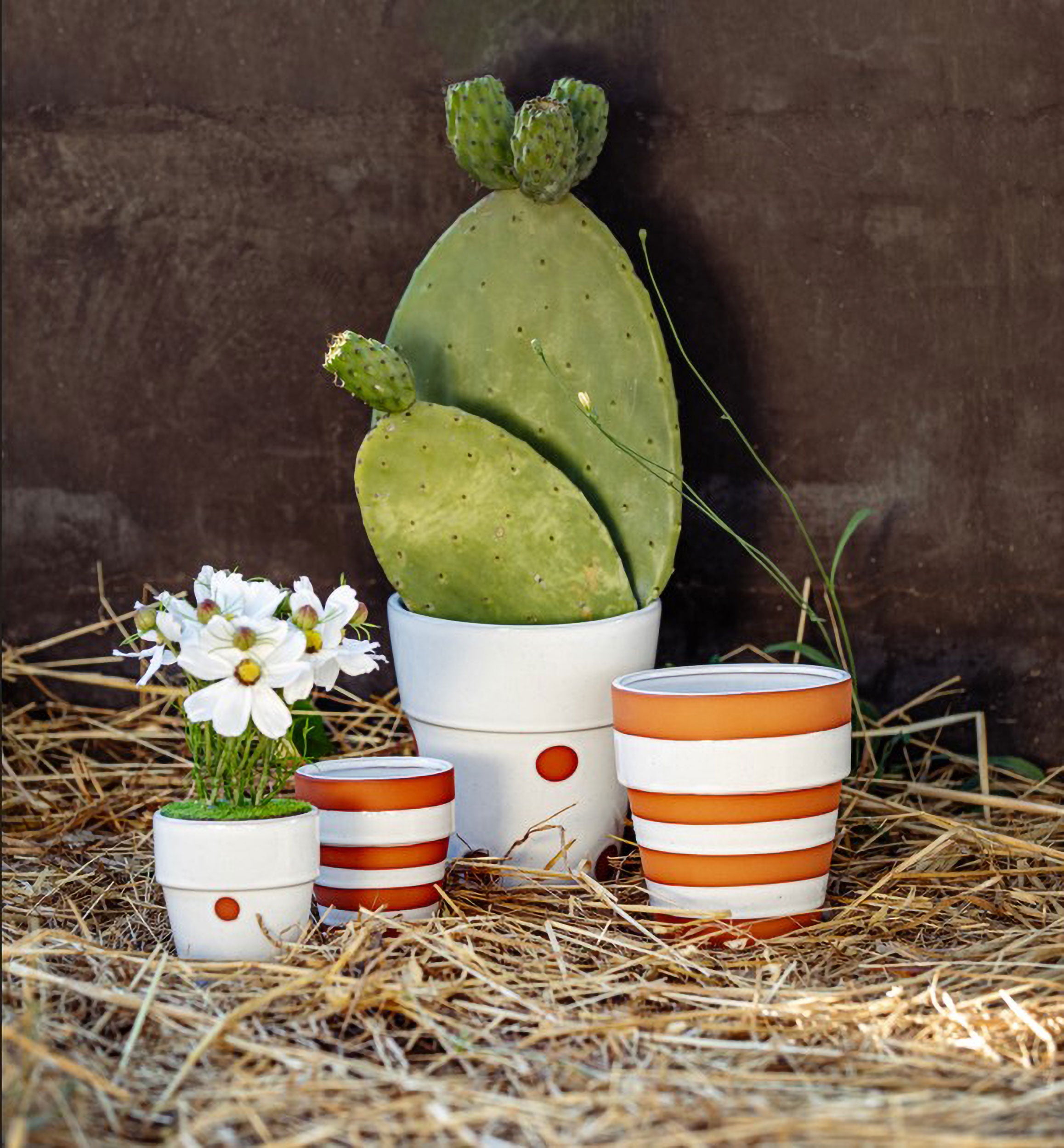 Set da 6, Cosmos zolla, Ilmazzolino - Stoffa, Ferro, PVC, 20x10x10 cm