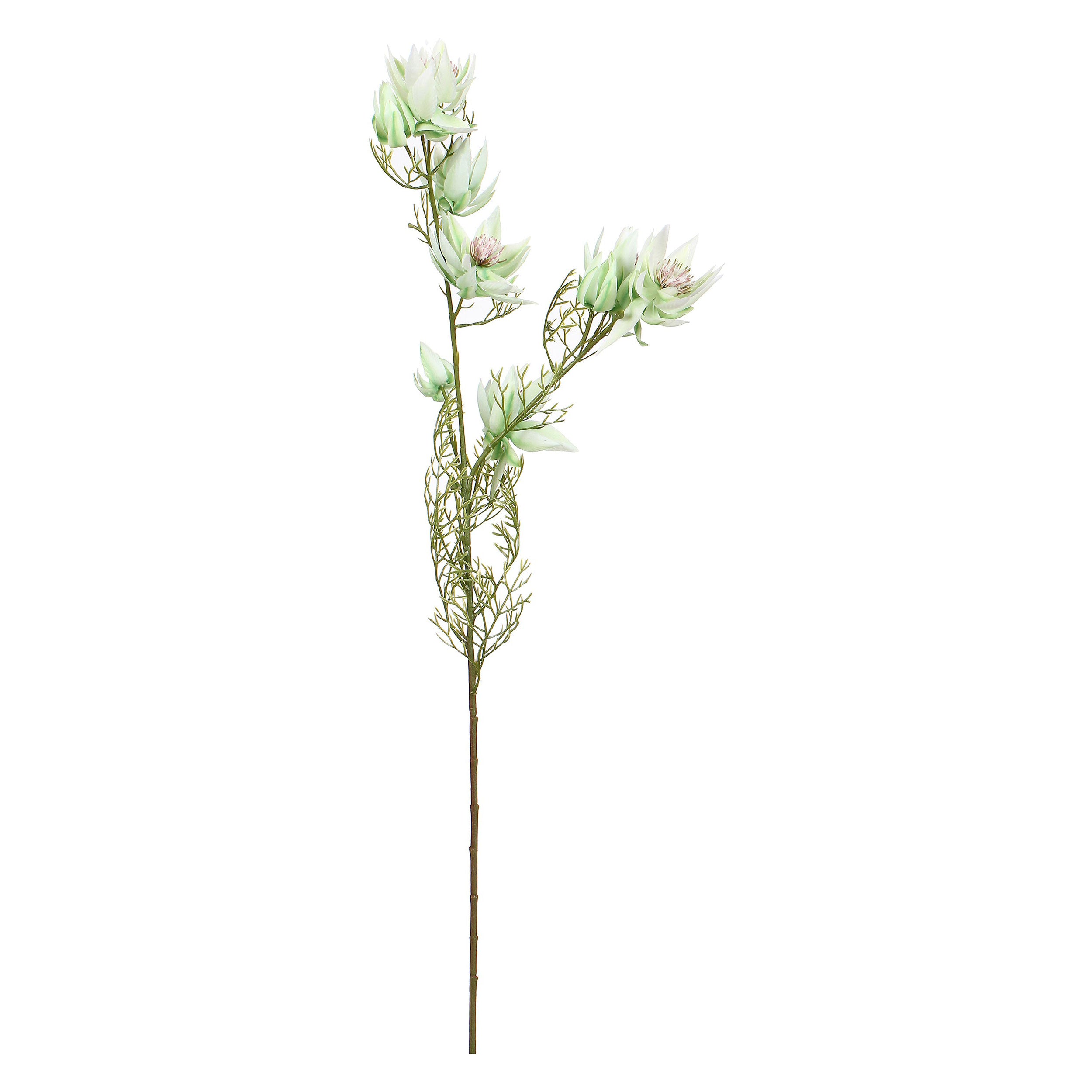 Set da 12, Protea Bride, Fiorile - Stoffa, Ferro, PVC, 21x21x68 cm