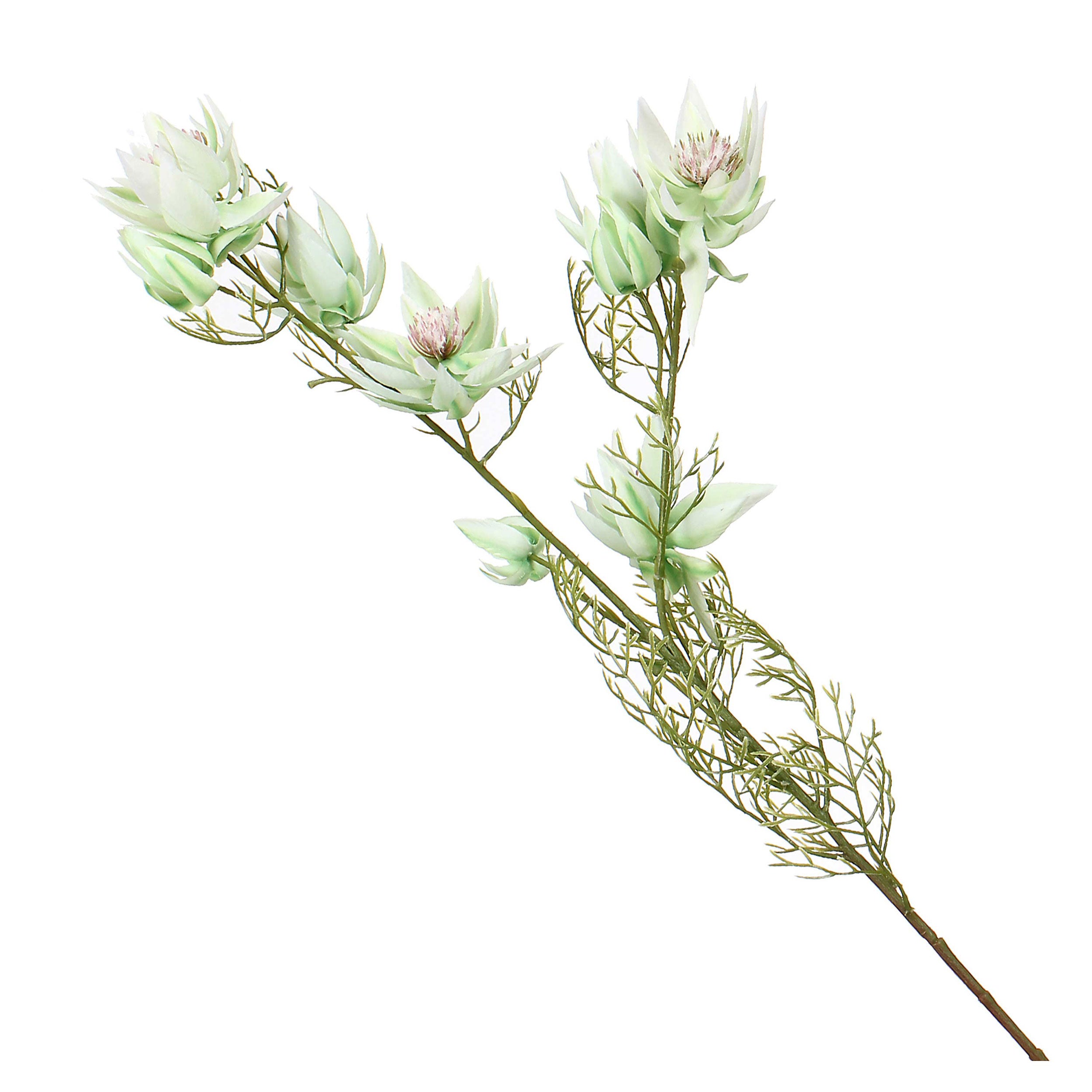 Set da 12, Protea Bride, Fiorile - Stoffa, Ferro, PVC, 21x21x68 cm