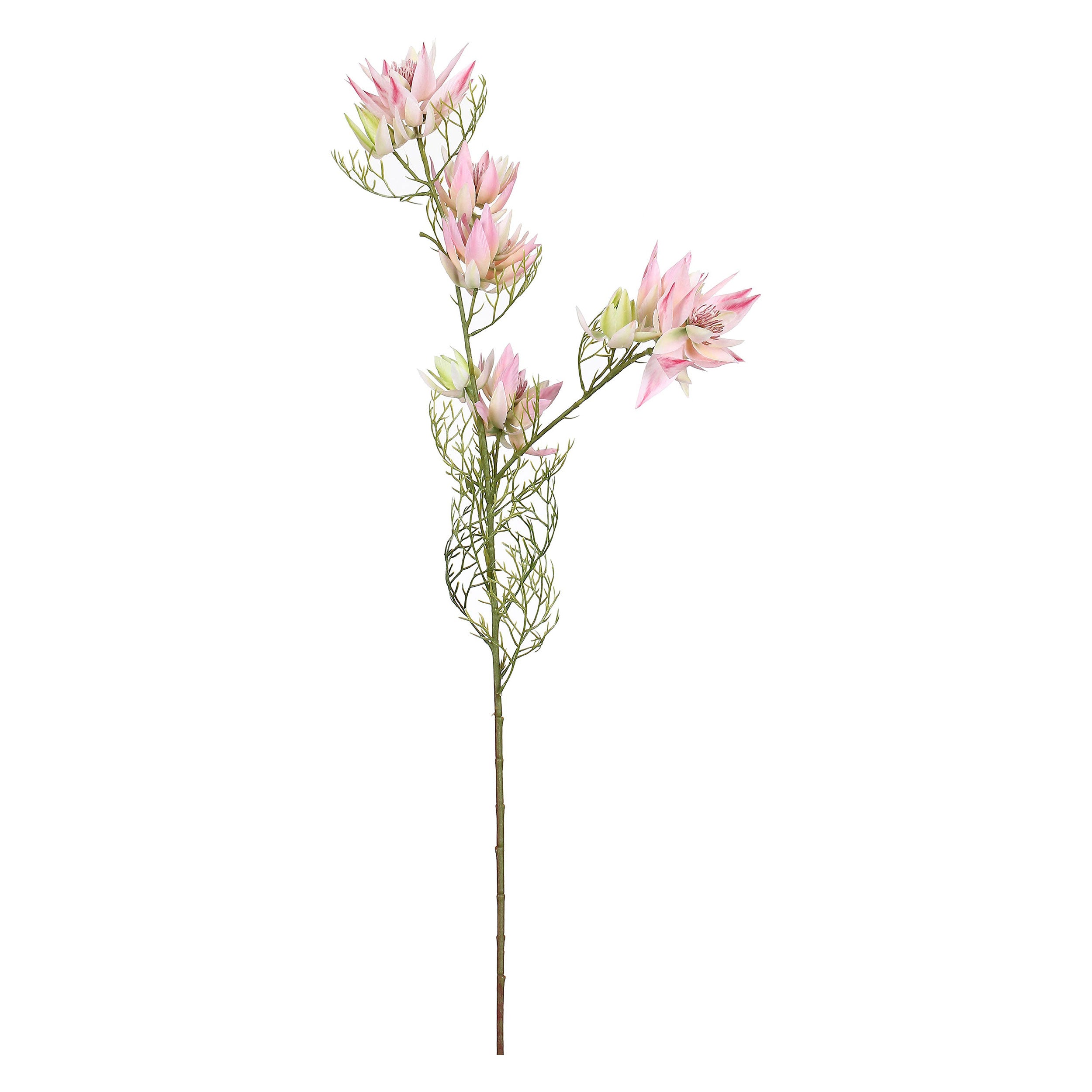 Set da 12, Protea Bride, Fiorile - Stoffa, Ferro, PVC, 21x21x68 cm