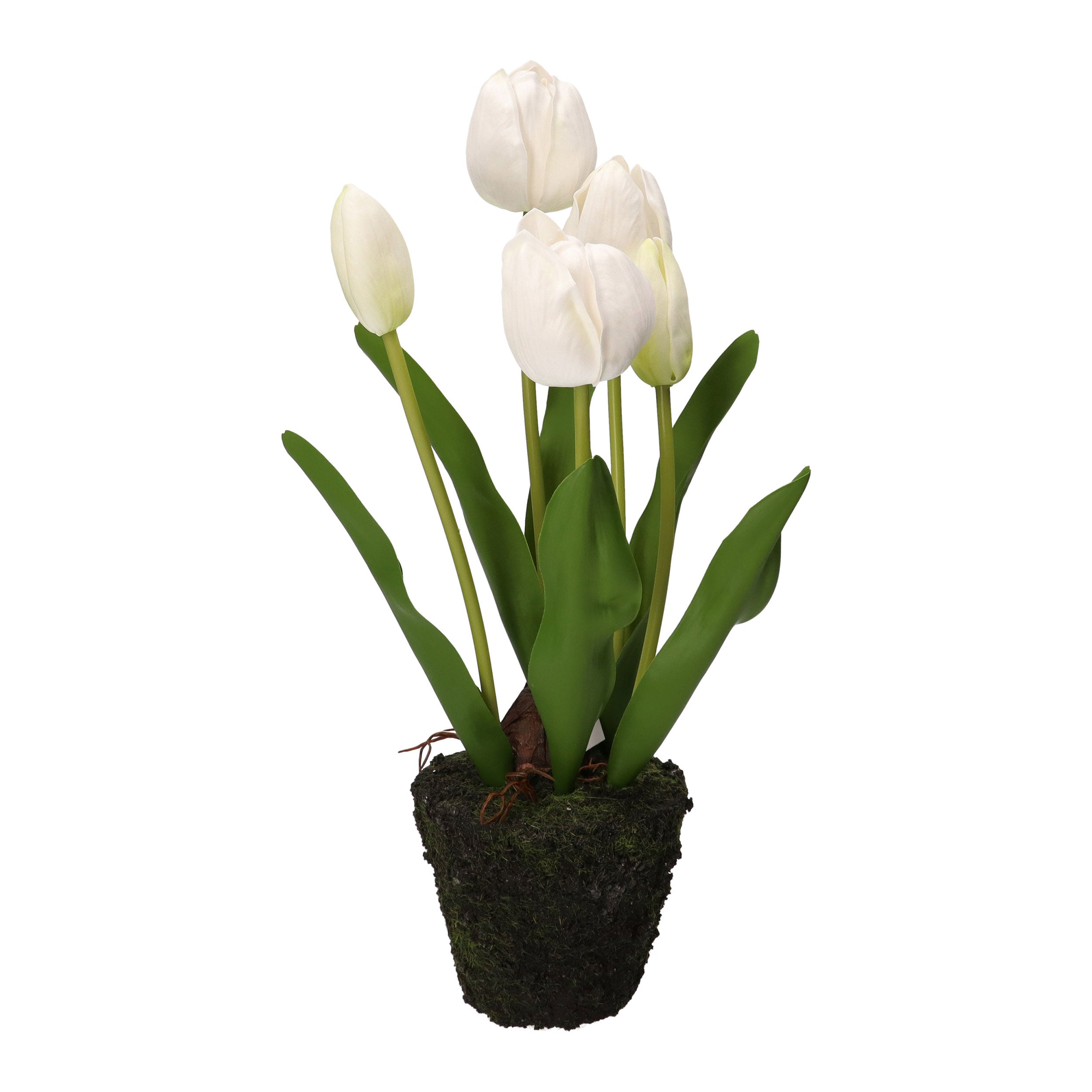 Set da 4, Tulipano zolla, Anna - Plastica