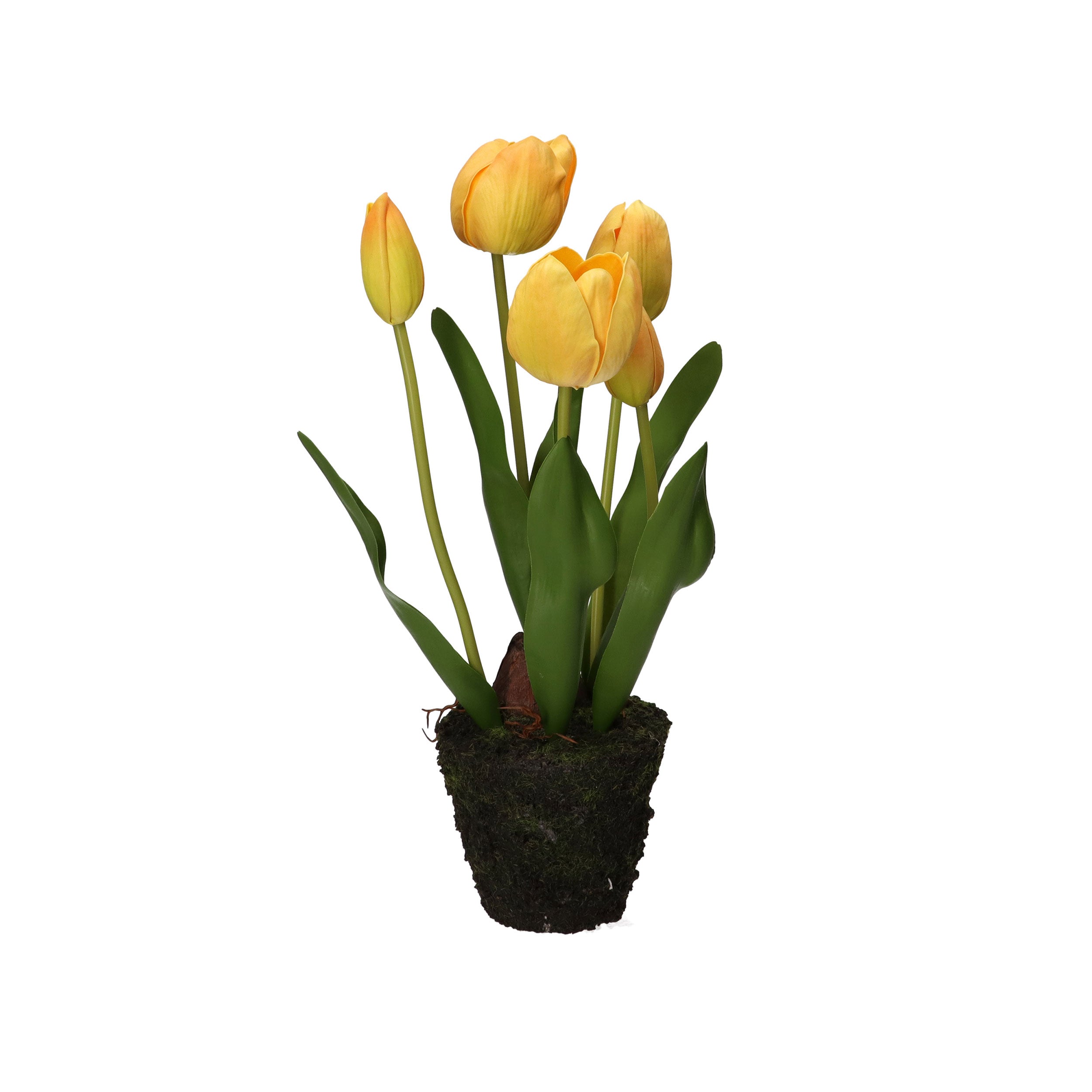 Set da 4, Tulipano zolla, Anna - Plastica