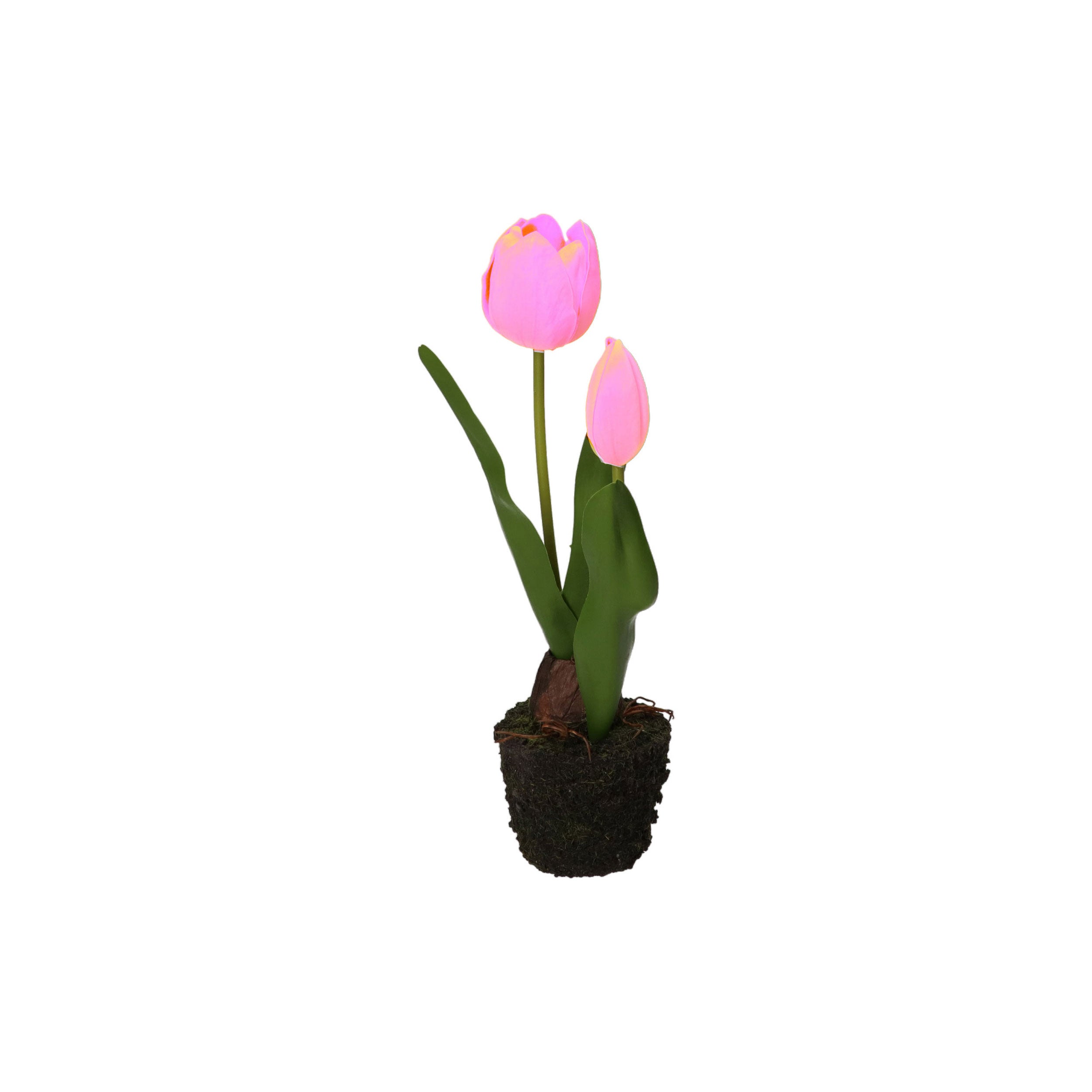 Set da 6, Tulipano zolla, Anna - Plastica