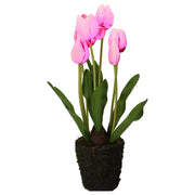 Set da 2 Tulipano zolla, Anna - Plastica