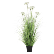 Finocchio Selvatico L, Piantala - Pvc, Pe,Filo,Foam,Cemento,Vaso In Plastica, Ø 15 cm