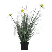 Set da 2, Rudbekia S, Piantala - Pvc, Pe,Filo,Foam,Cemento,Vaso In Plastica, Ø 11 cm