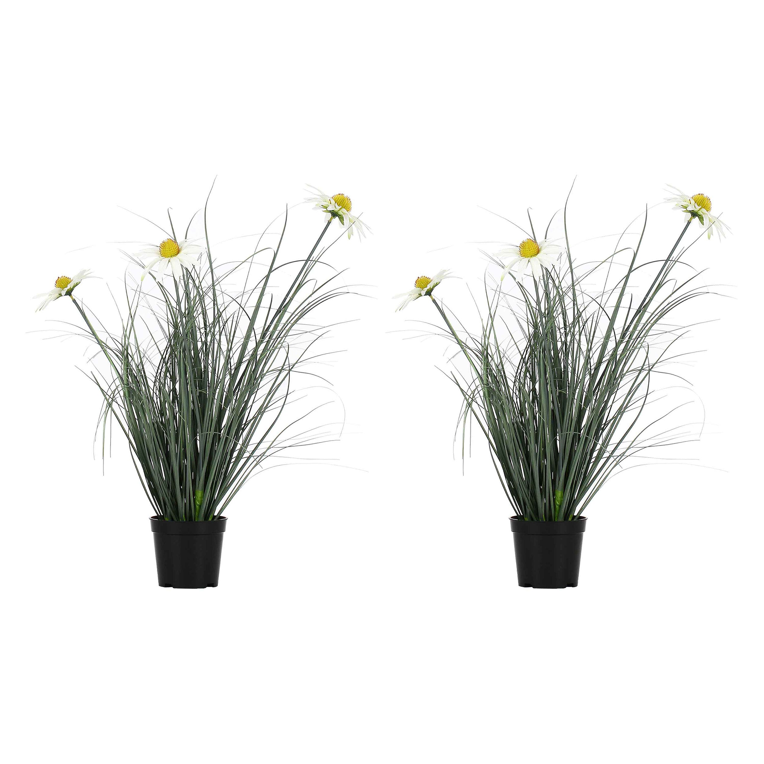 Set da 2, Rudbekia S, Piantala - Pvc, Pe,Filo,Foam,Cemento,Vaso In Plastica, Ø 11 cm