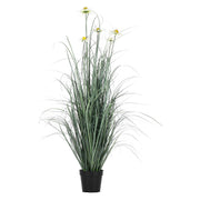Rudbekia L, Piantala - Pvc, Pe,Filo,Foam,Cemento,Vaso In Plastica, Ø 15 cm