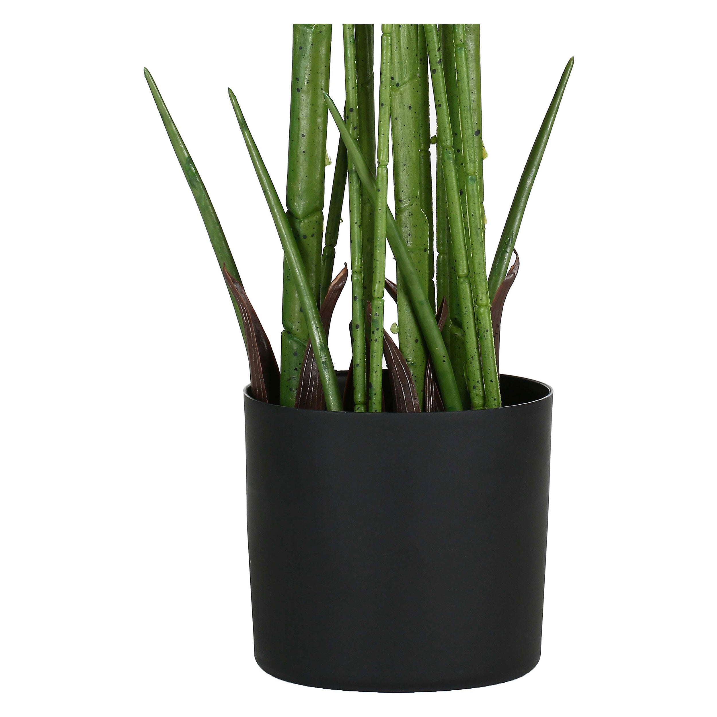 Set da 2, Areca, Piantala, 190 cm