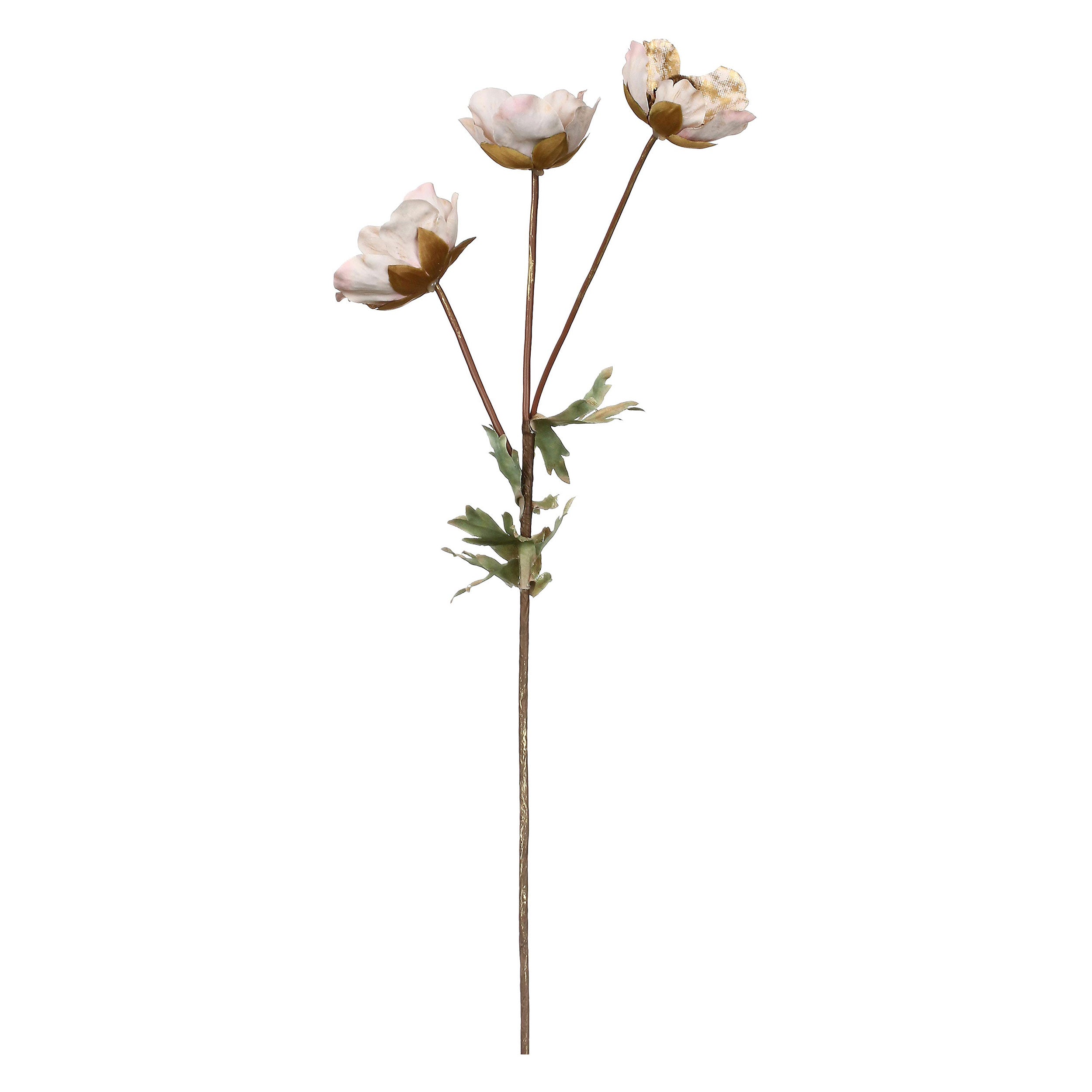 Set da 12, Anemoni, Antonietta - Tessuto
