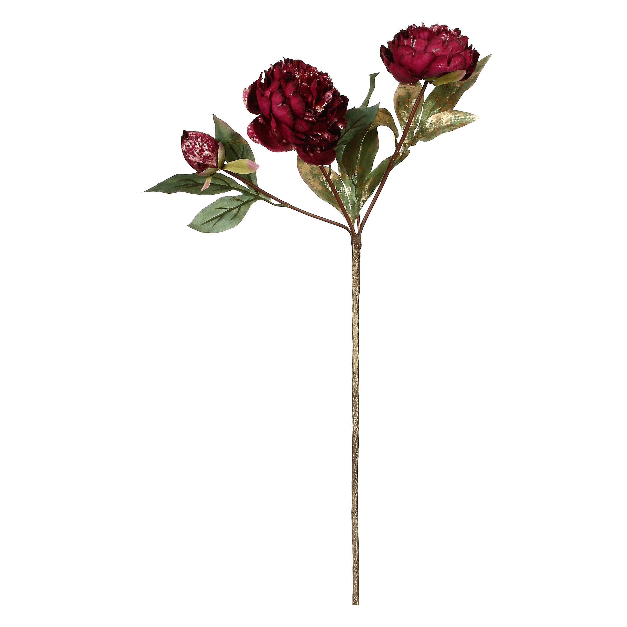 Set da 12, Peonie, Antonietta - Tessuto