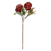 Set da 12, Peonie, Antonietta - Tessuto