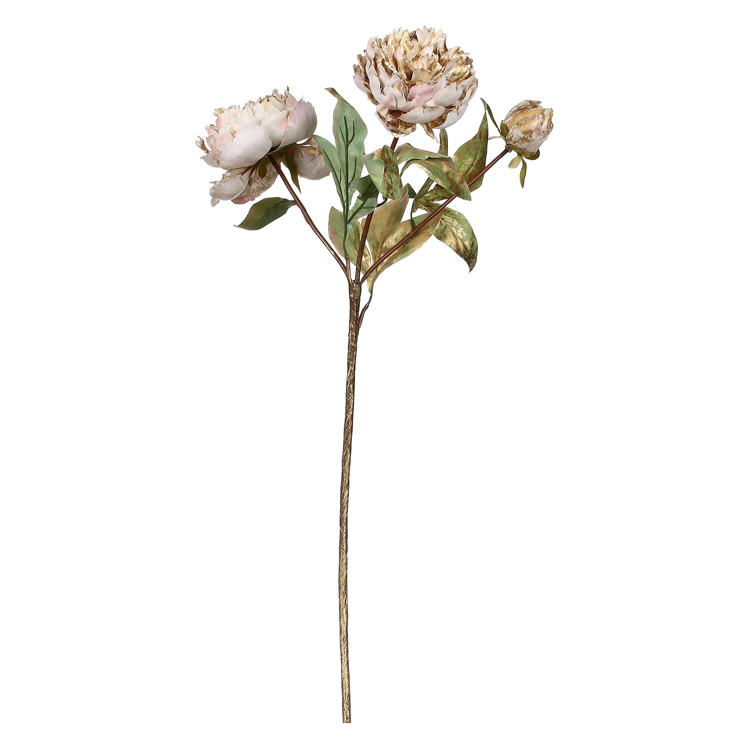 Set da 12, Peonie, Antonietta - Tessuto