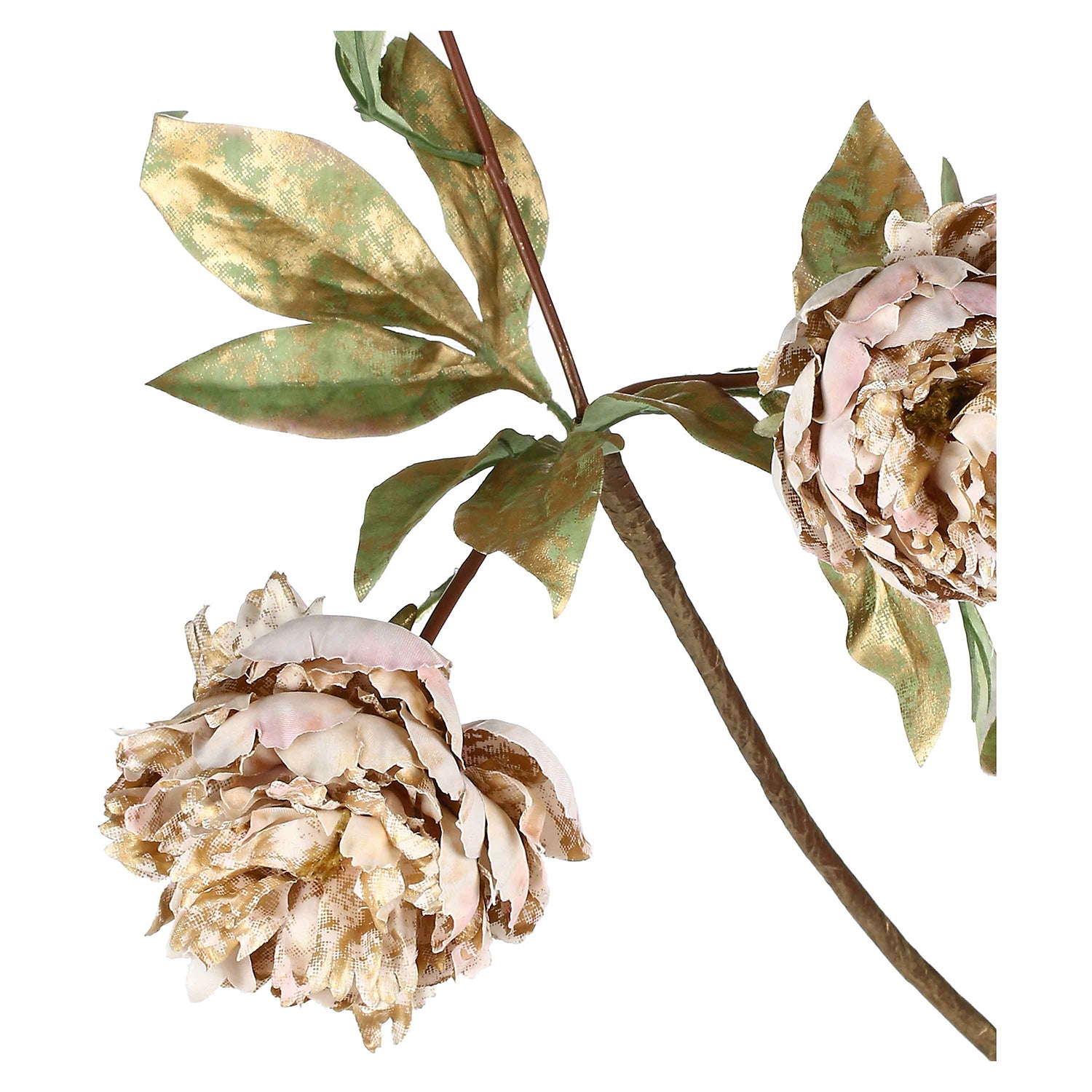 Set da 12, Peonie, Antonietta - Tessuto