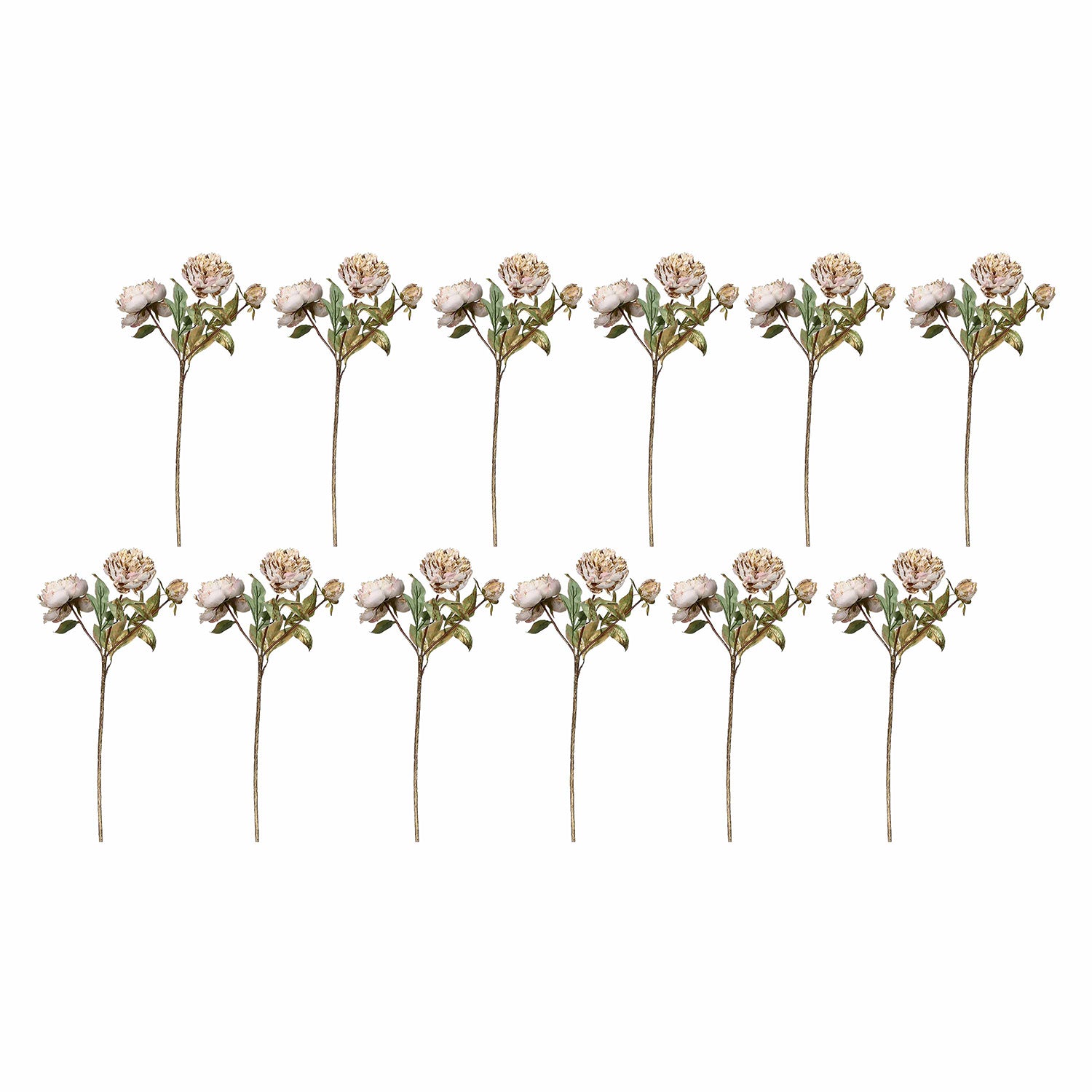 Set da 12, Peonie, Antonietta - Tessuto