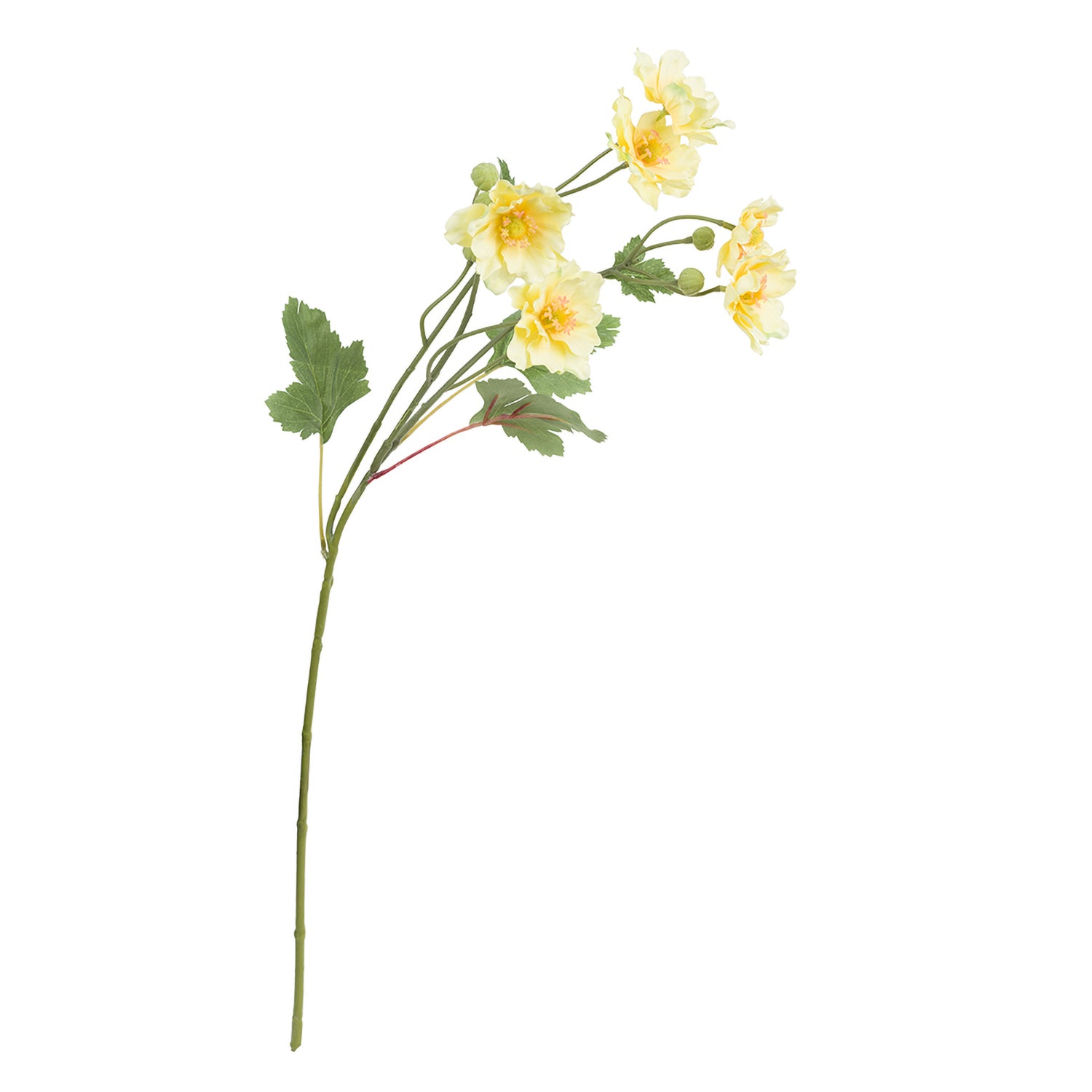 Set da 12, Anemone Butterfly Giallo, Fiorile - Poliestere, ferro, 69 cm