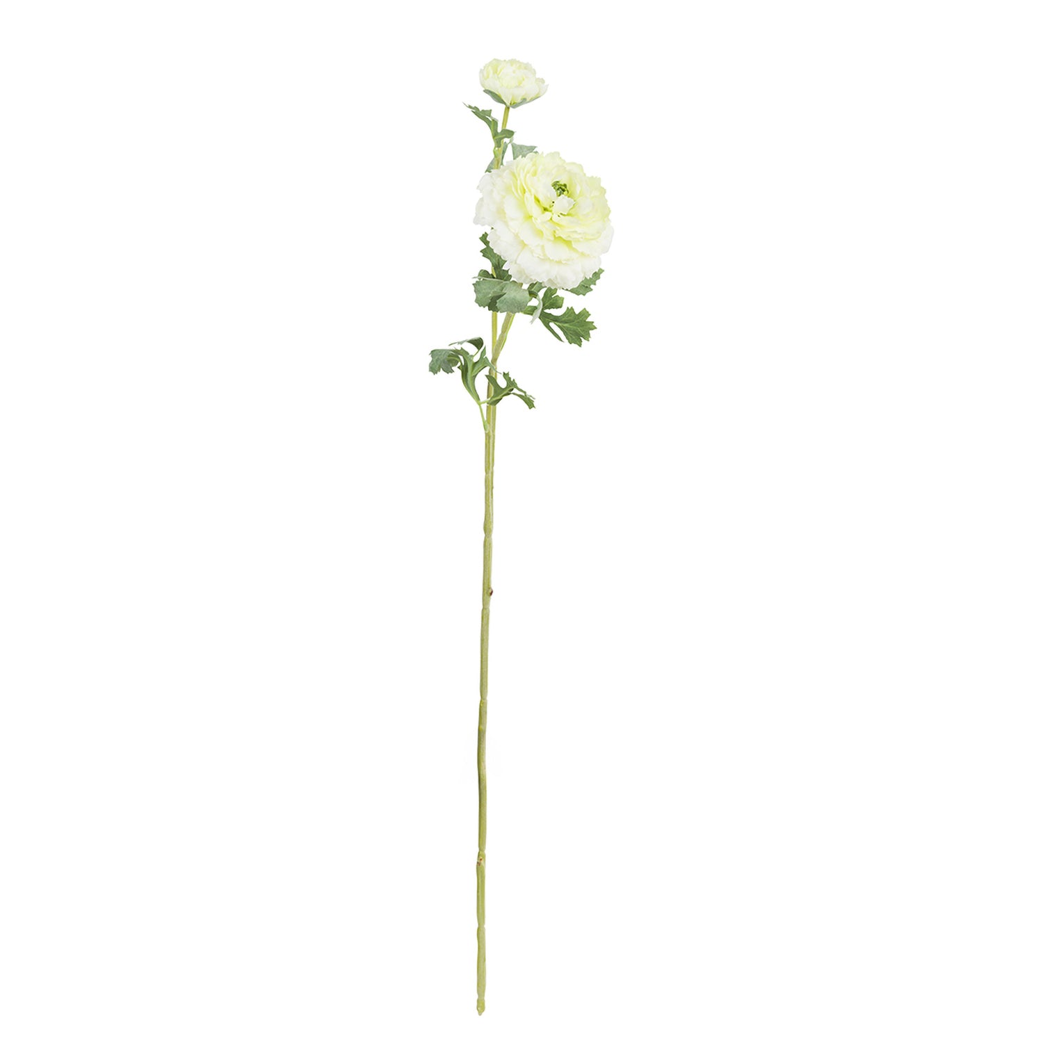 Set da 12, Ranuncolo Pompon, Fiorile - Poliestere, ferro, 72 cm
