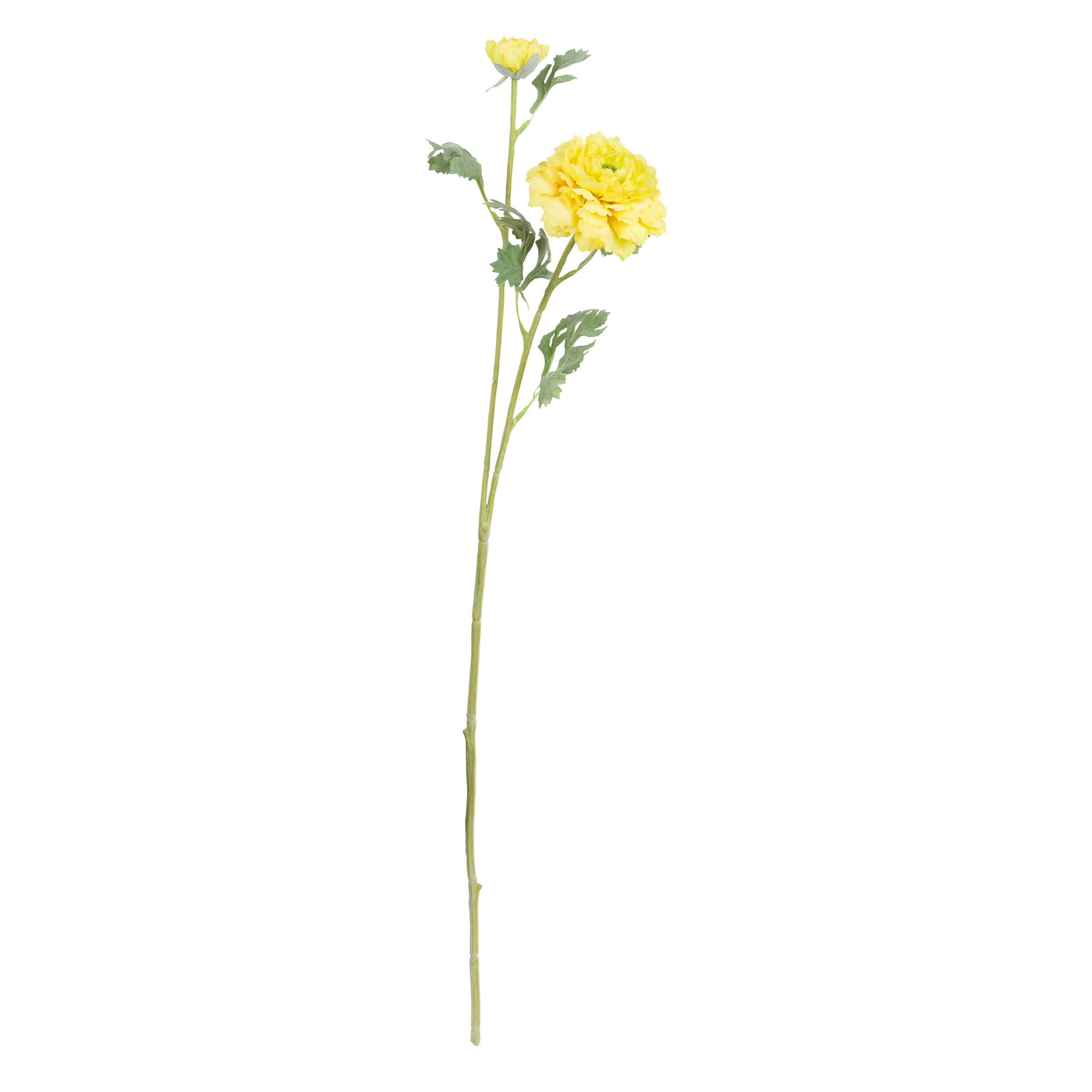 Set da 12, Ranuncolo Pompon, Fiorile - Poliestere, ferro, 72 cm