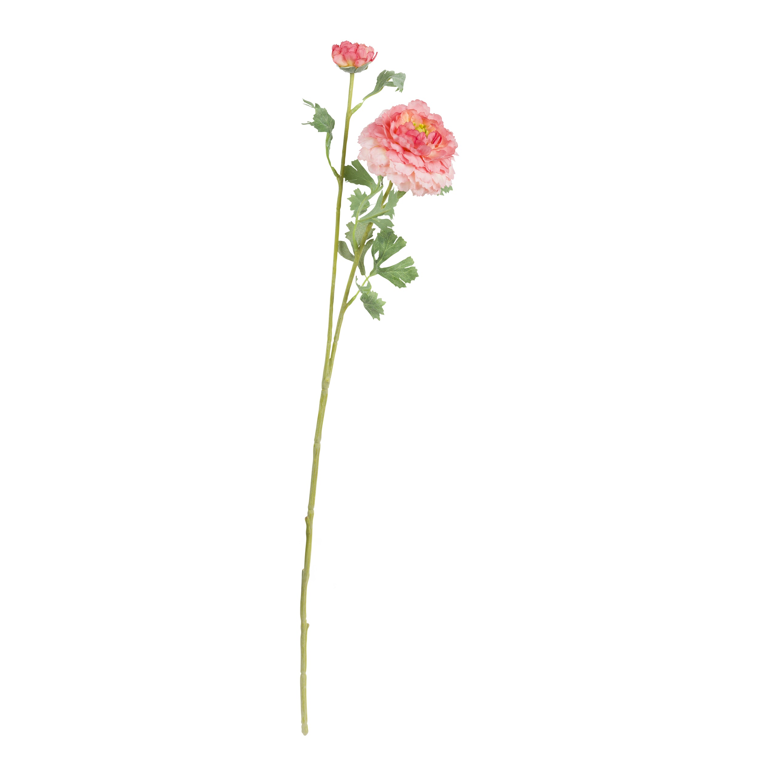 Set da 12, Ranuncolo Pompon, Fiorile - Poliestere, ferro, 72 cm