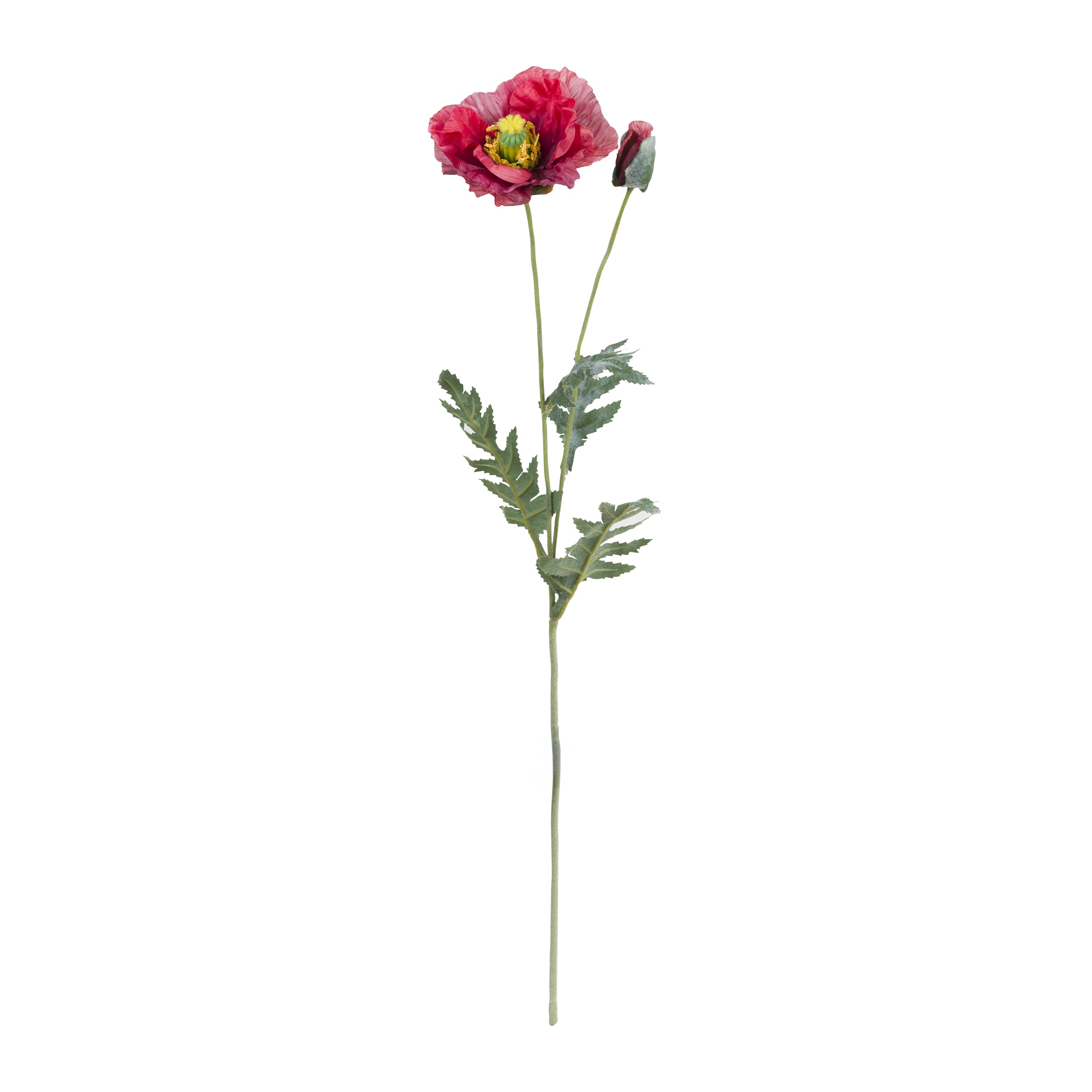 Set da 12, Papavero, Fiorile - Poliestere, ferro, 72 cm