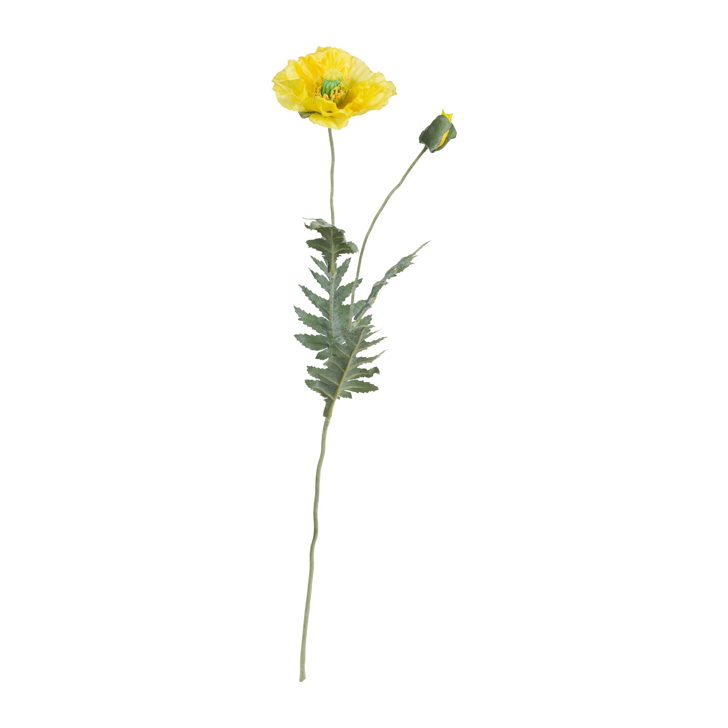 Set da 12, Papavero, Fiorile - Poliestere, ferro, 72 cm