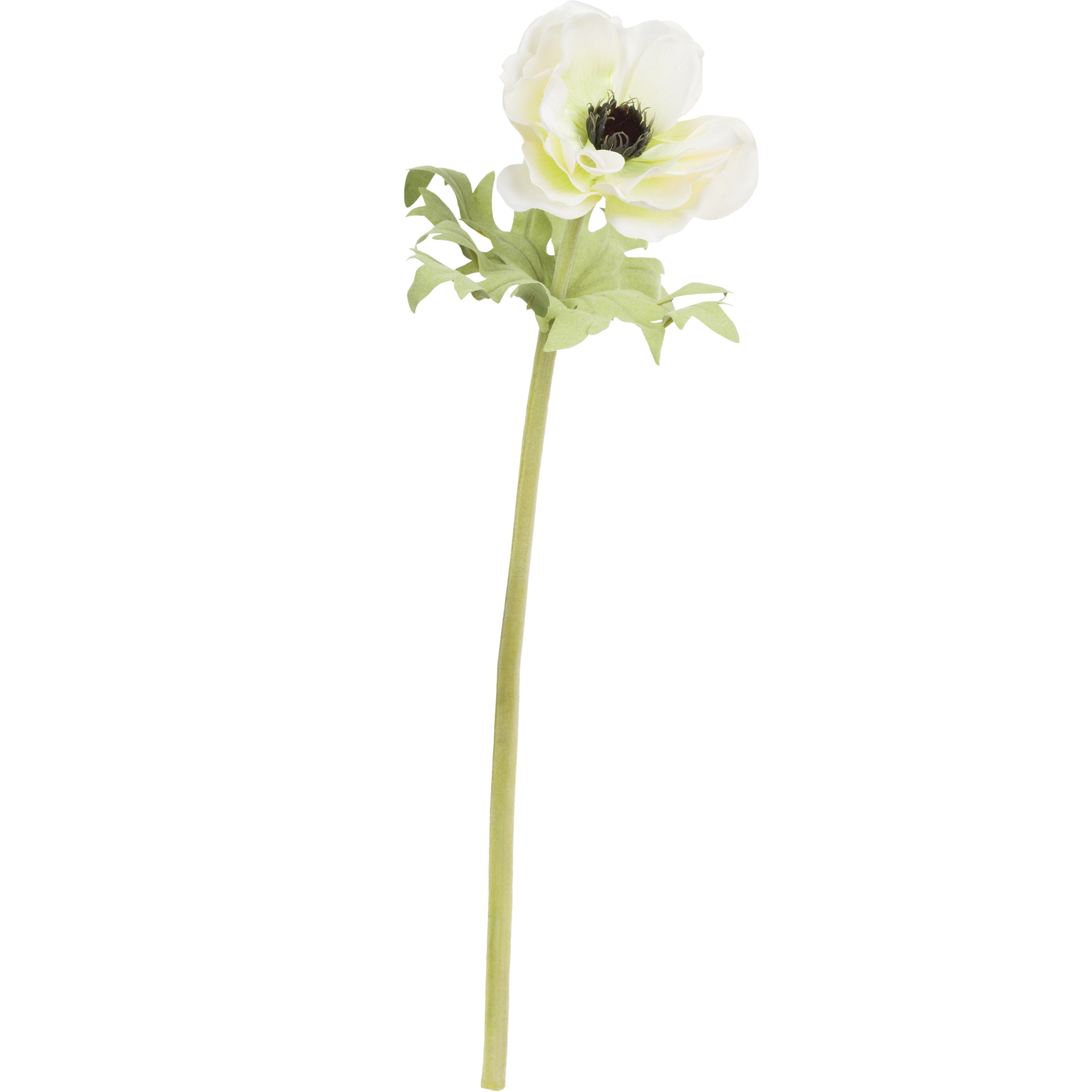Set da 12, Anemone Bianco, Fiorile - Poliestere, ferro, 50 cm