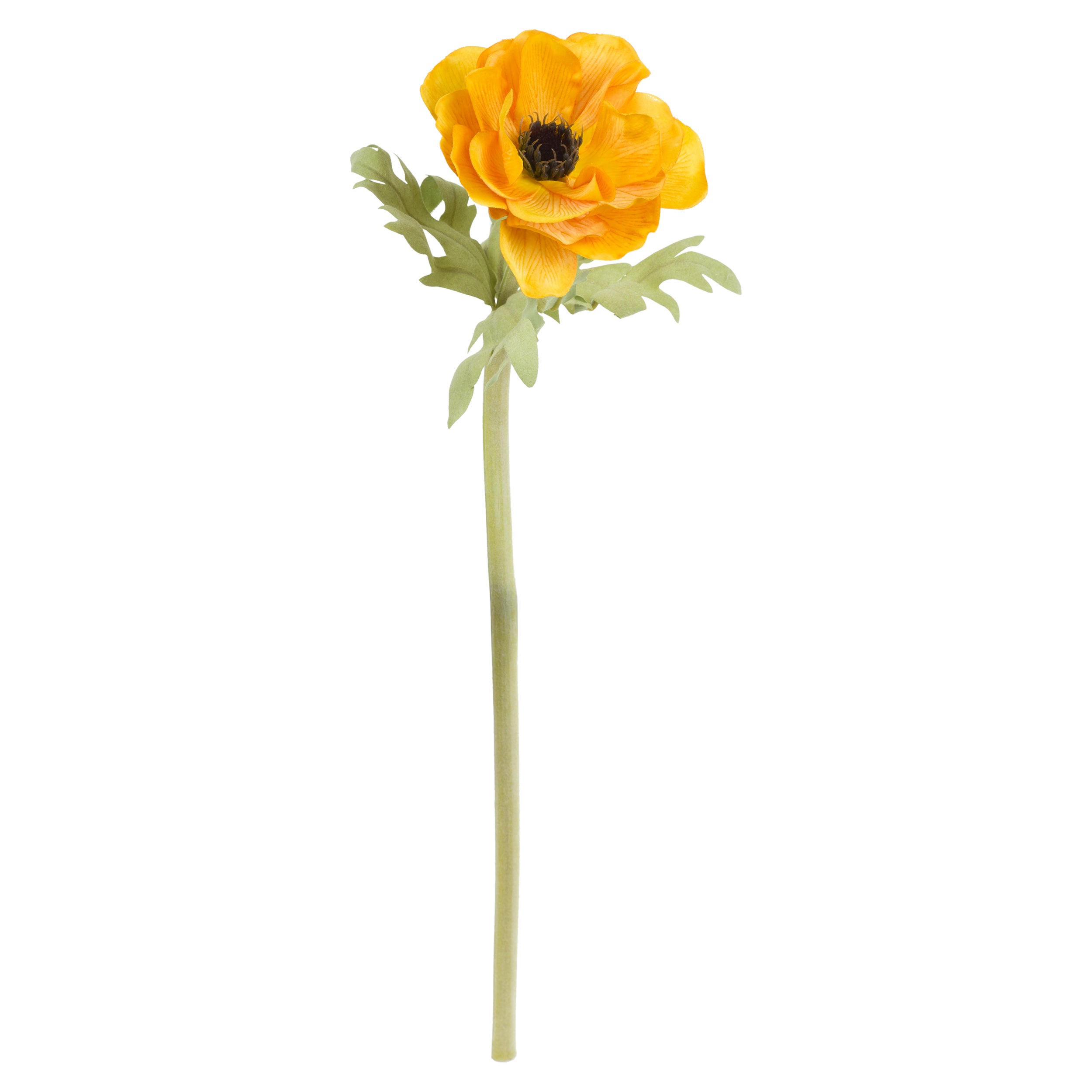 Set da 12, Anemone Giallo, Fiorile - Poliestere, ferro, 50 cm