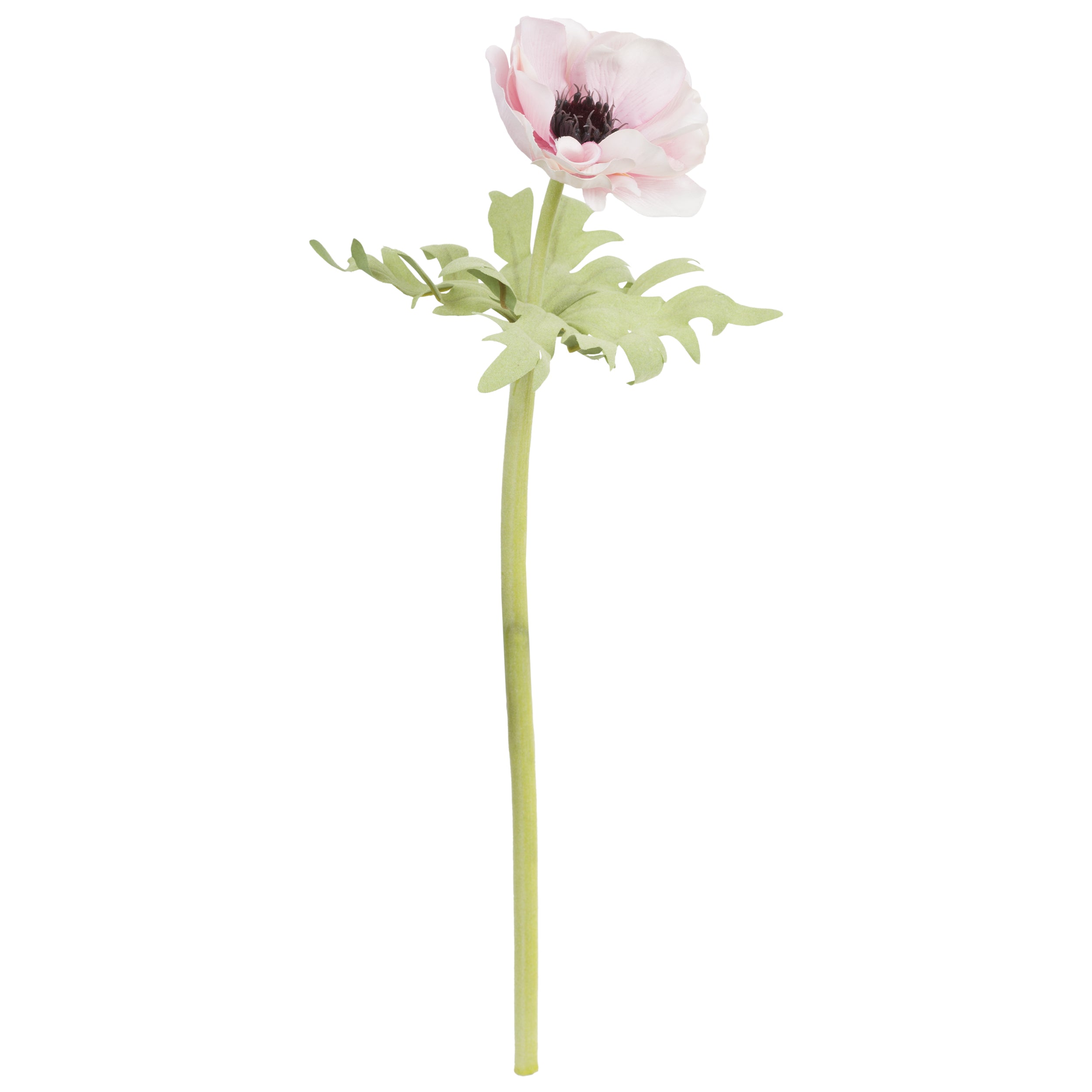 Set da 12, Anemone Rosa, Fiorile - Poliestere, ferro, 50 cm